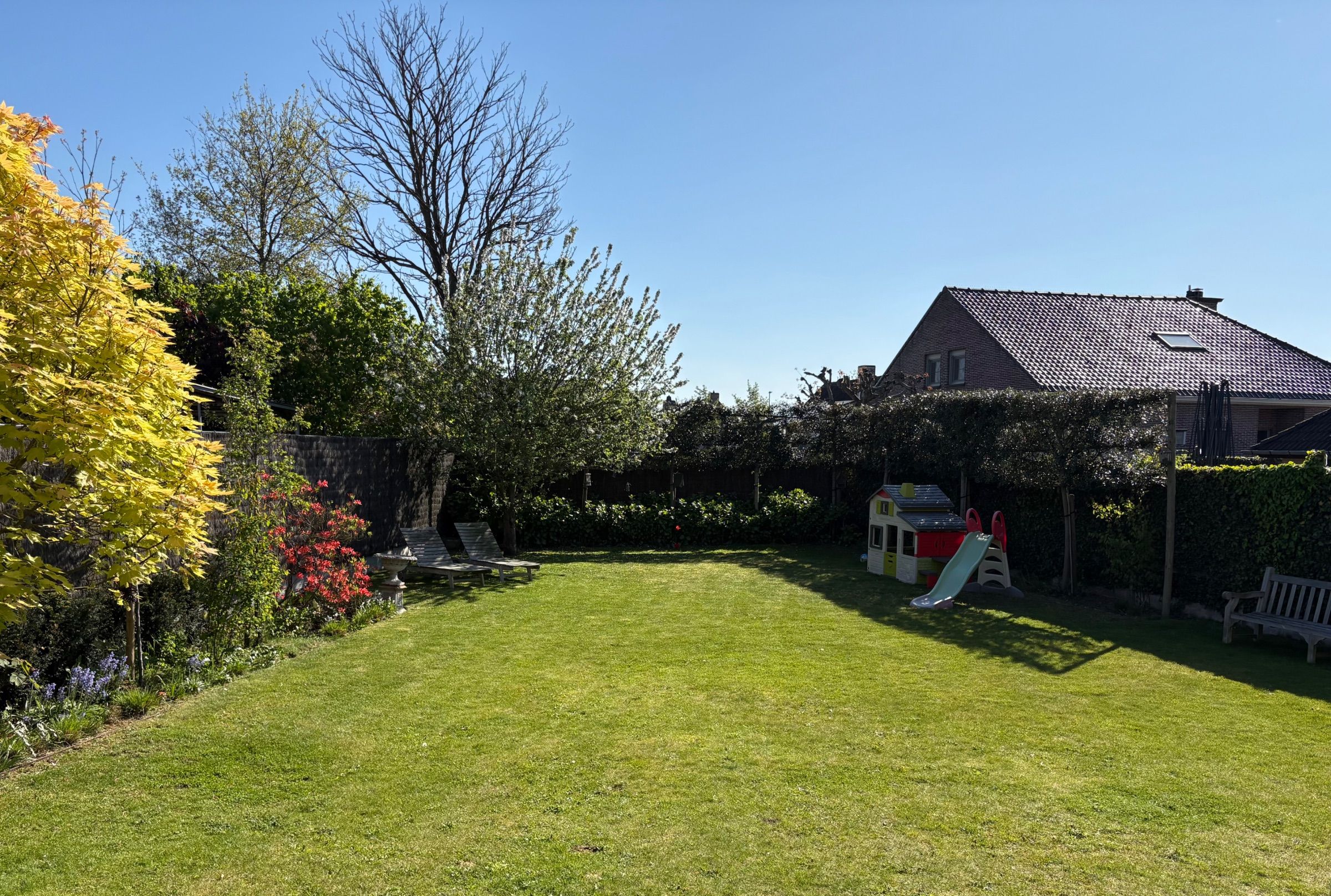 Ruime alleenstaande zonnige woning te Deerlijk - foto 4