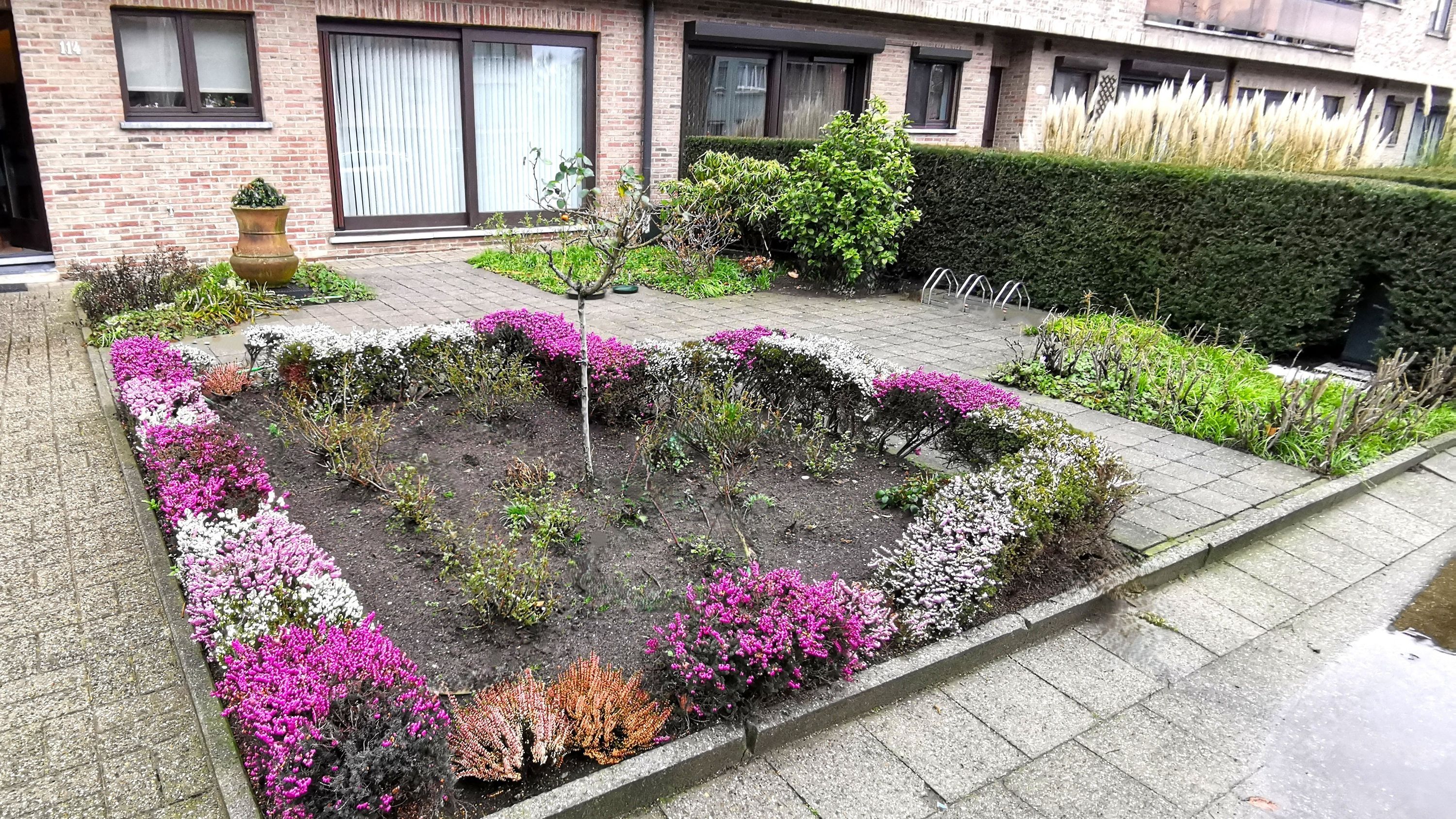 GLV appartement - groot terras en optie autostaanplaats - Schoten - foto 4