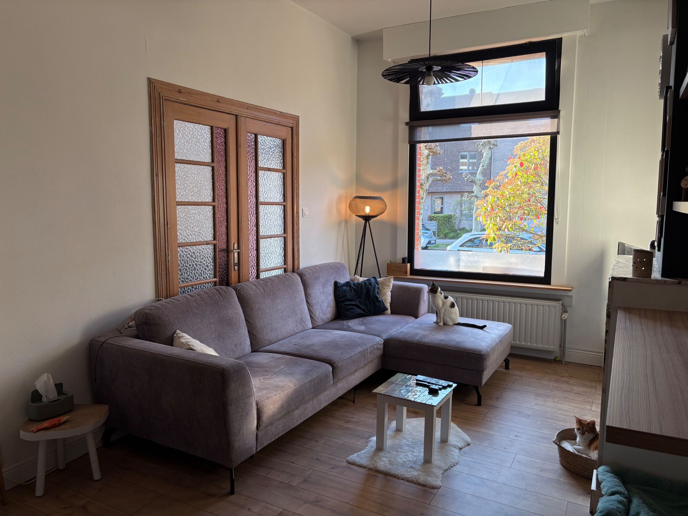 Charmante ruime woning met leuke tuin. - foto 3