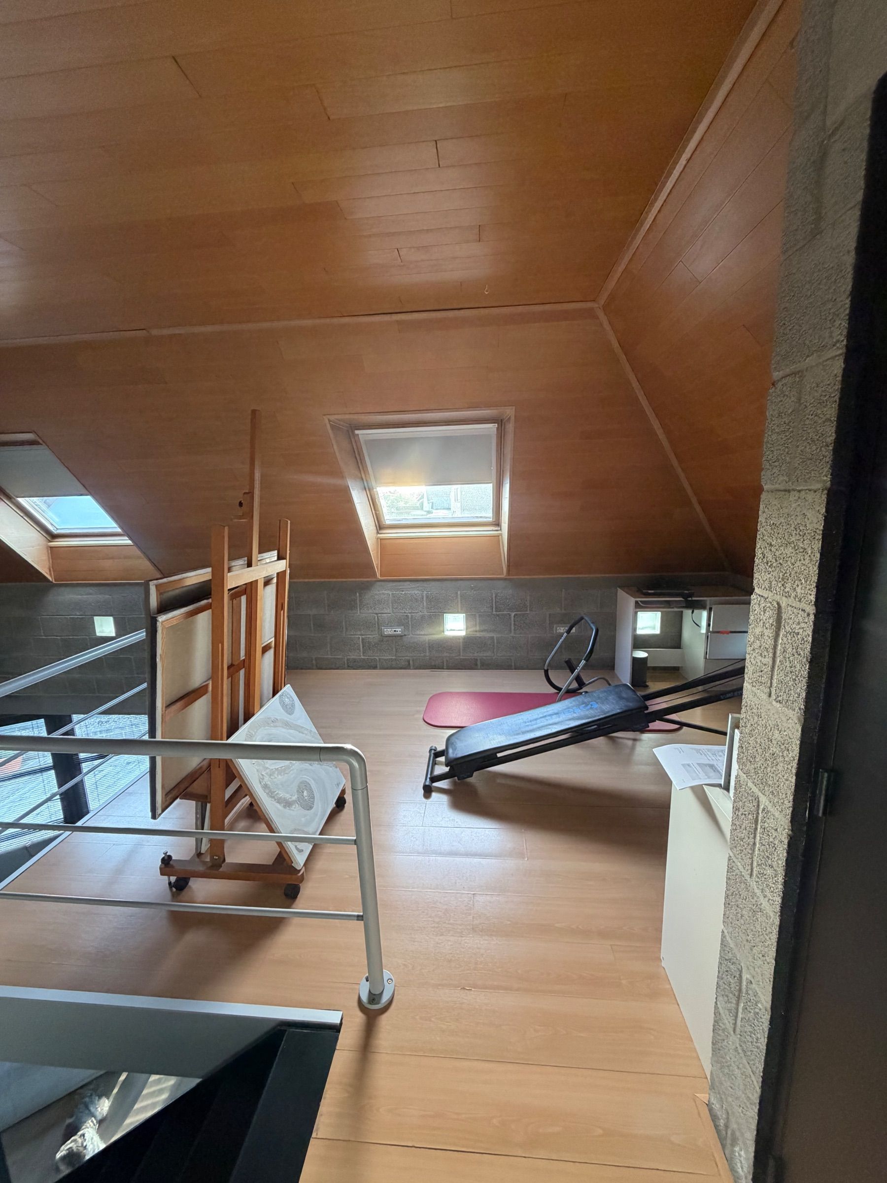 RECHTSTREEKS VAN DE EIGENAAR – VILLA MET COMMERCIËLE RUIMTE TE KOOP IN VIANE - foto 6