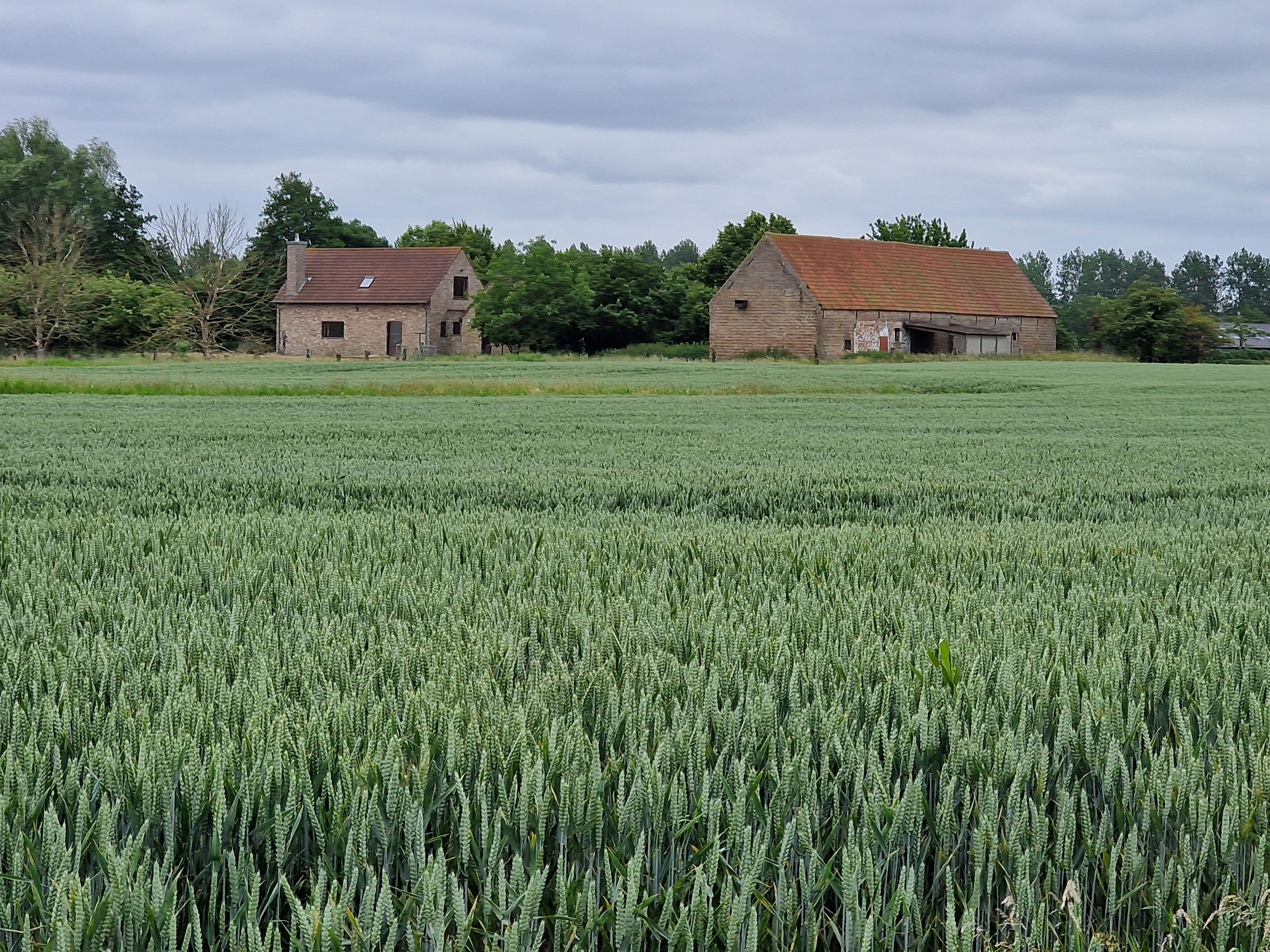 Herbouwde vergunde hoeve. Prachtig gelegen. - foto 8