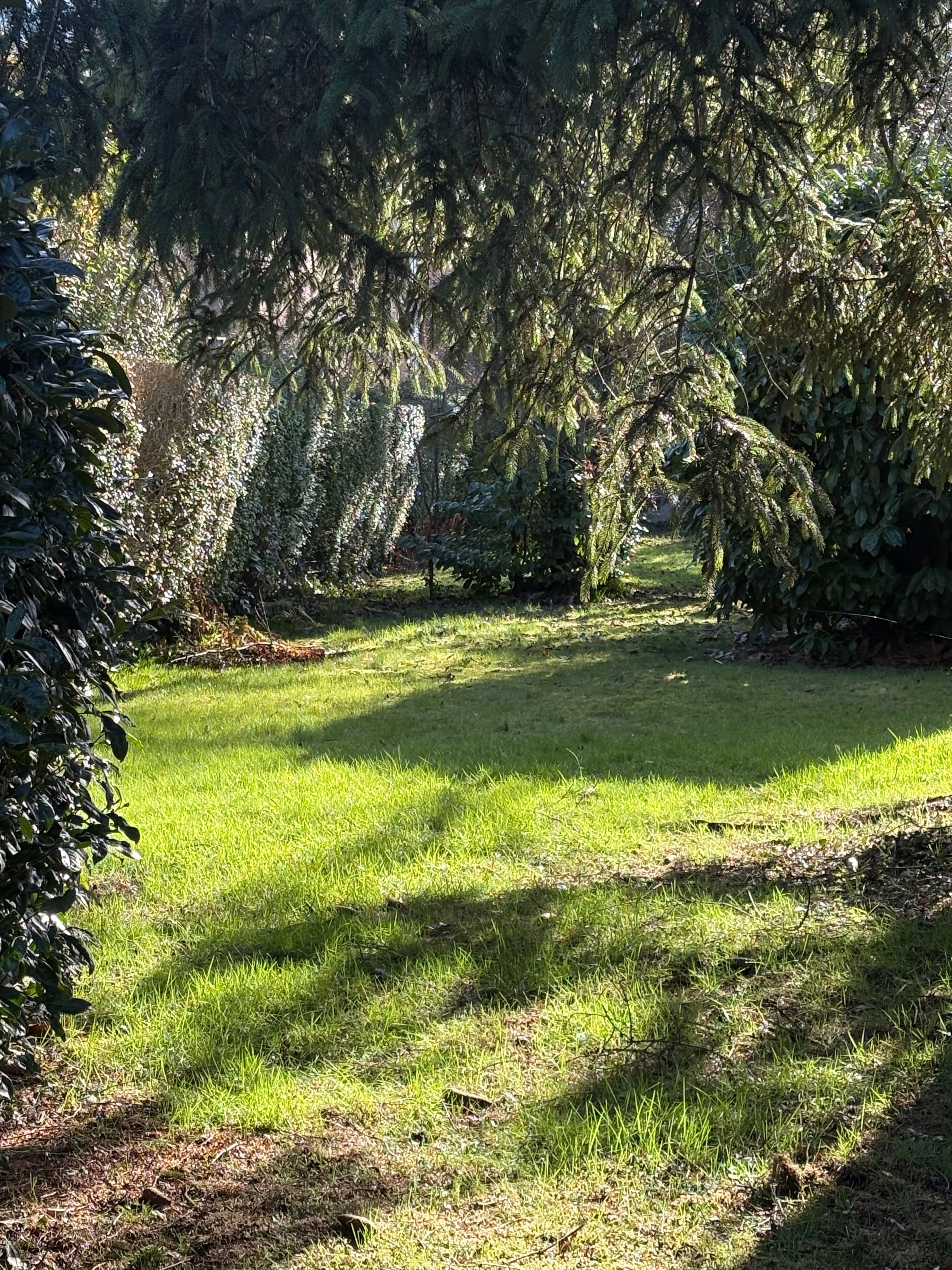 Charmante woning met garage en tuin - foto 5