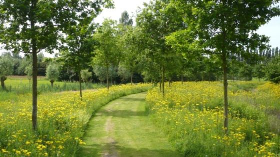 Karaktervolle rijwoning met tuin en gunstig EPC - foto 11