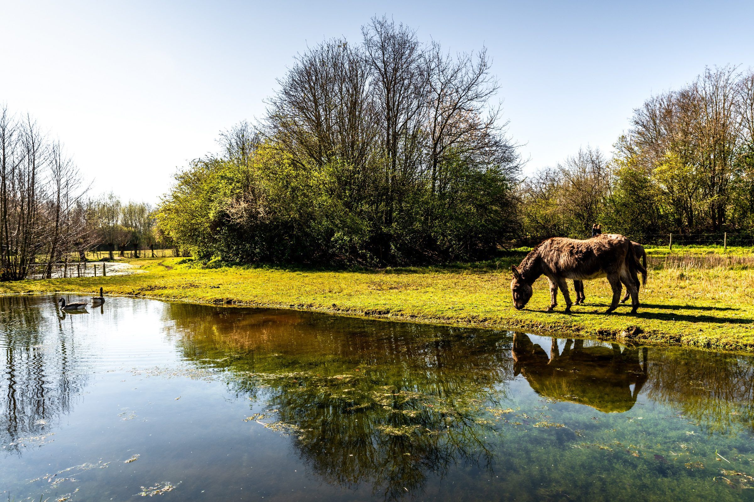Karaktervolle rijwoning met tuin en gunstig EPC - foto 10