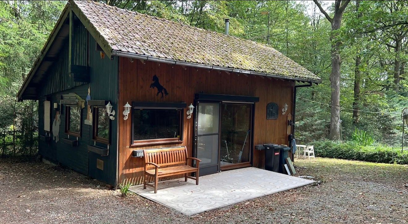 Prachtige chalet in de belgische Ardennes (2504m2 oppervlakte) - foto 2