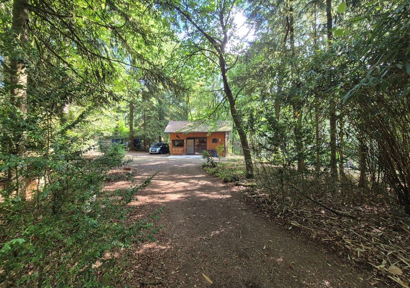 Prachtige chalet in de belgische Ardennes (2504m2 oppervlakte) - foto 5