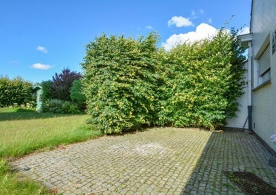 Alleenstaande woning dichtbij school en centrum en oprit E17.  - foto 8