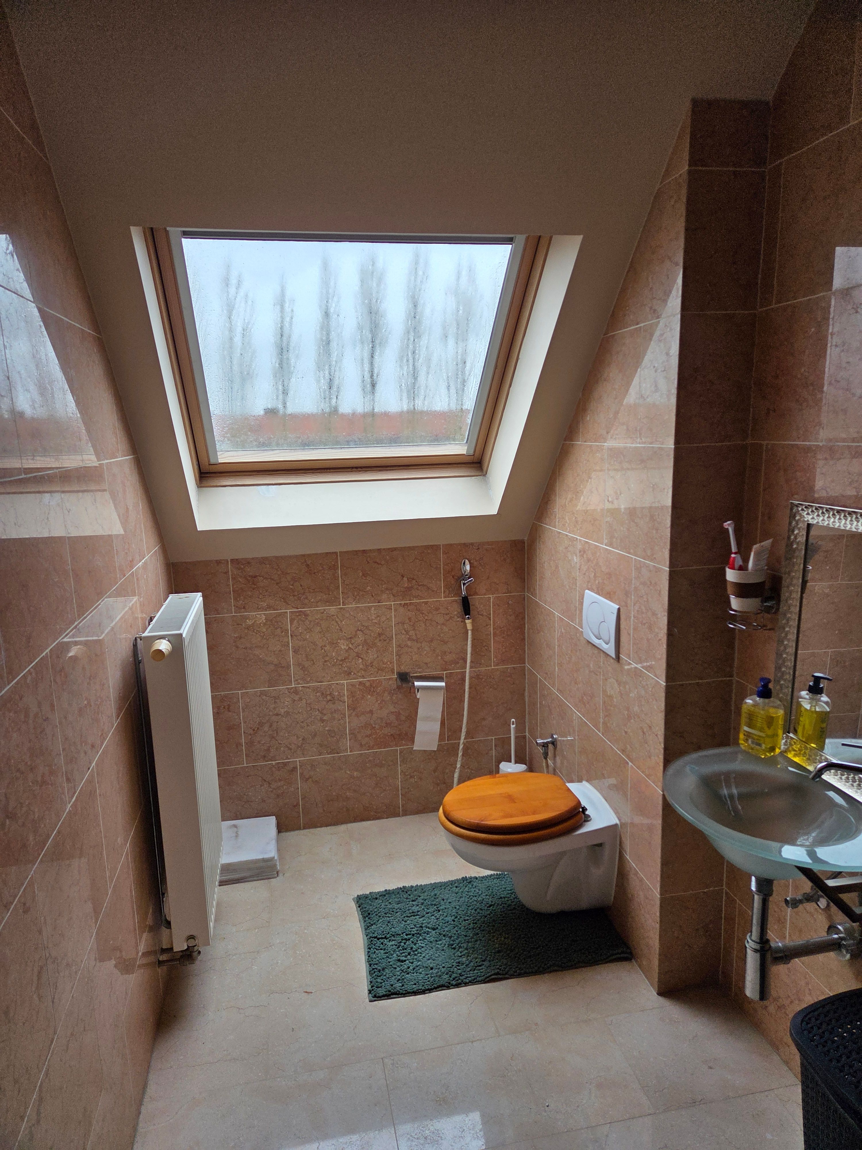Prachtige woning te Koningshooikt  - foto 10