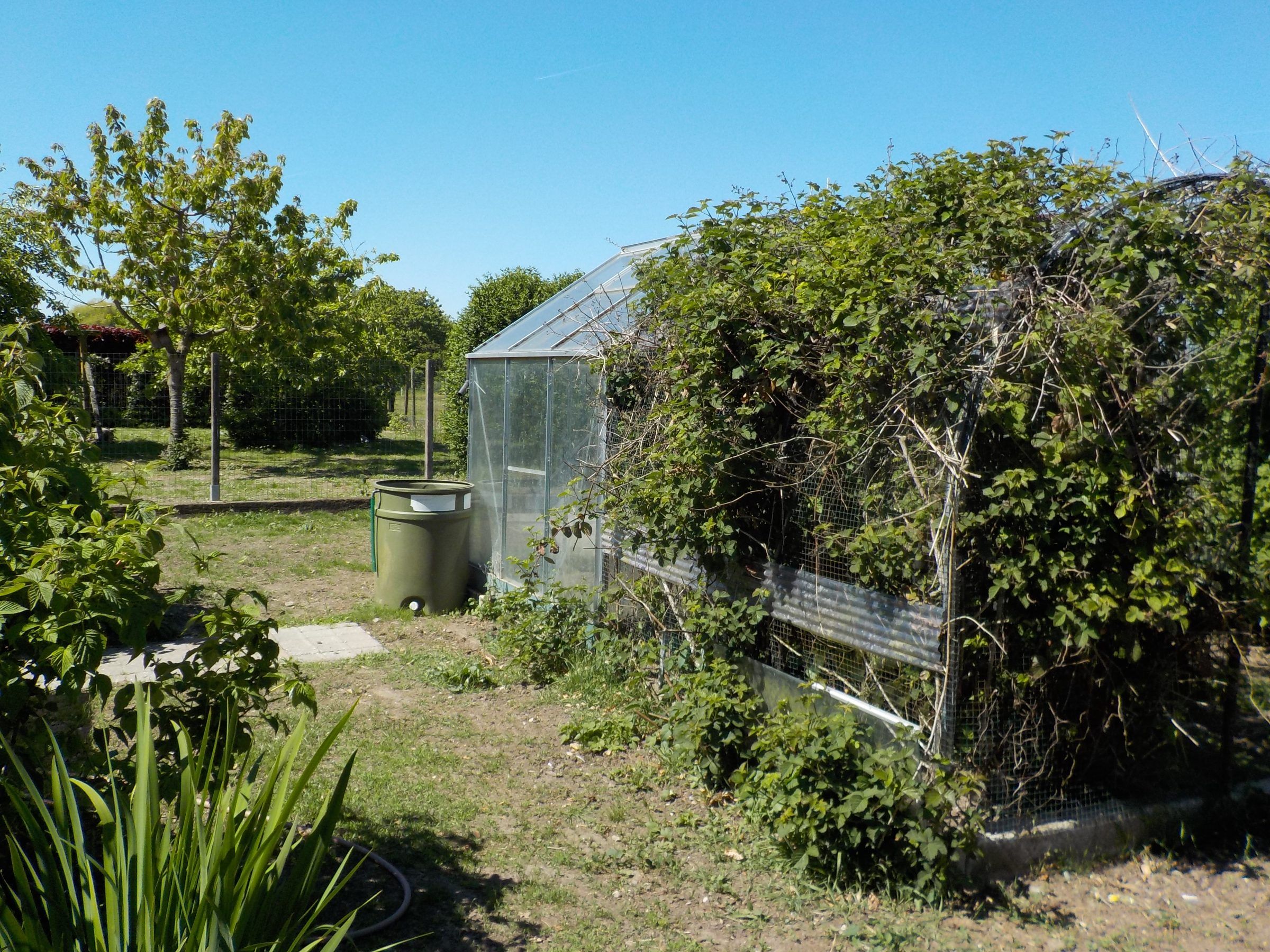 instapklare bungalow op een gunstige ligging - foto 10