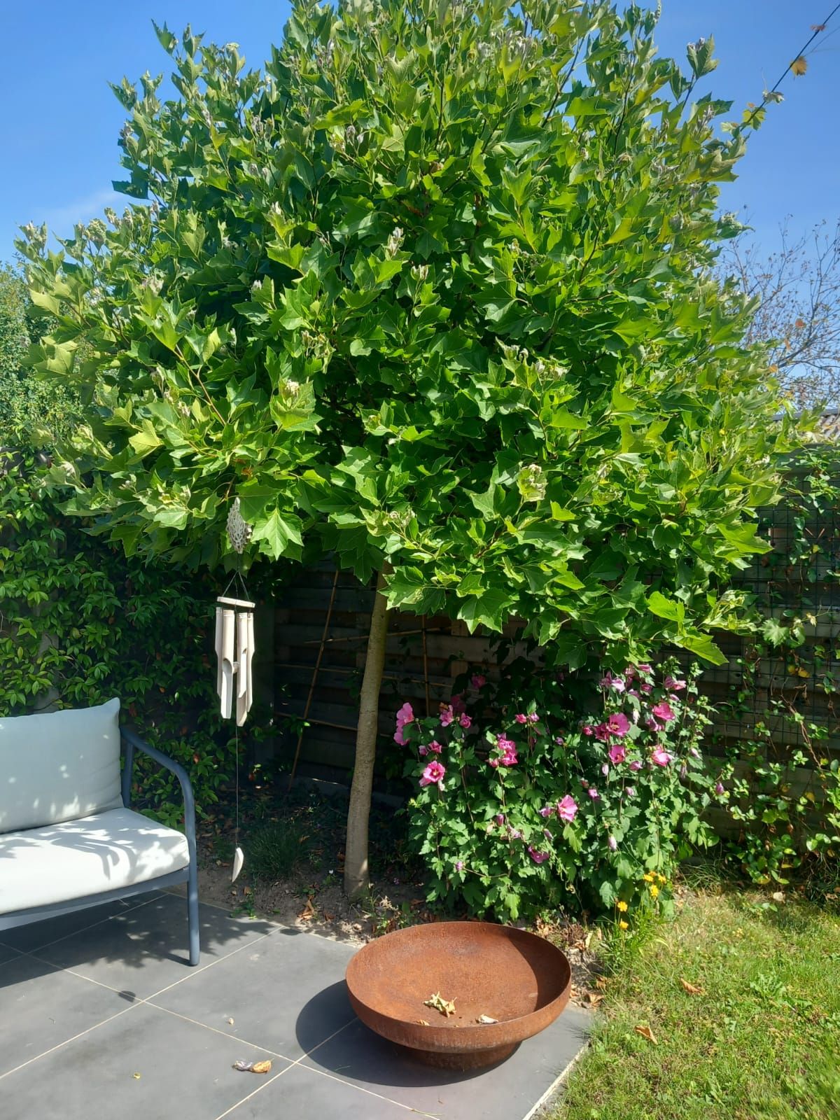 Gerenoveerde hob met tuin en garage nabij centrum van Lier - foto 10