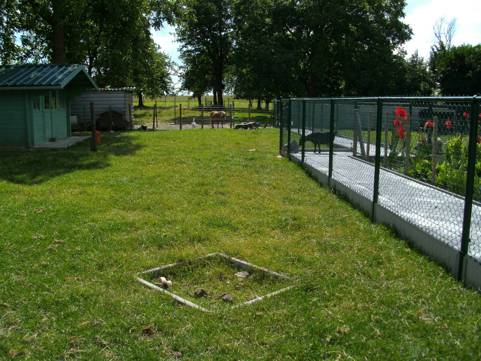 Charmant boerderijtje 43a met bijgebouwen - foto 5