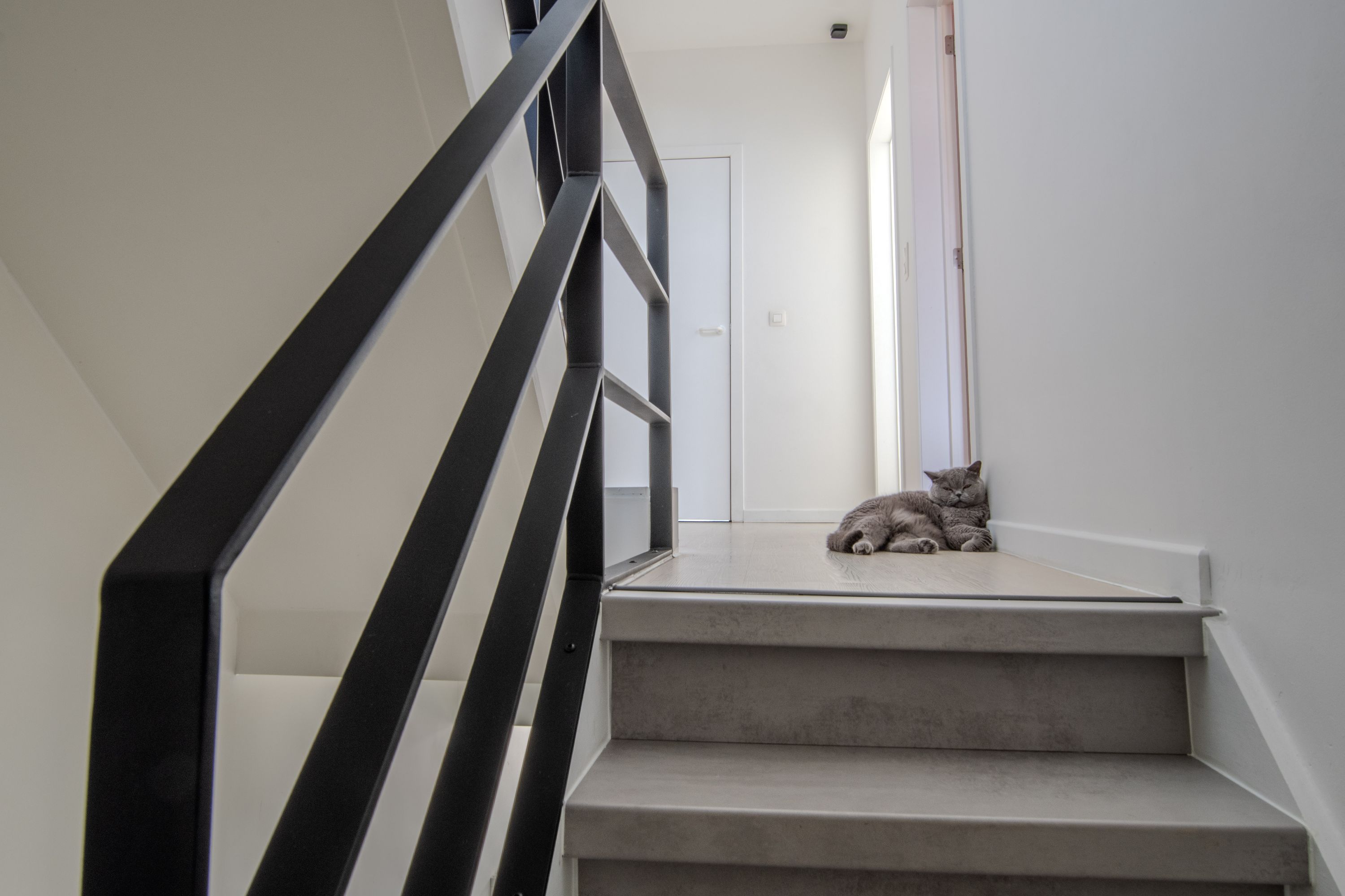 Luxueus gerenoveerde woning op 44 are te koop met een uitzonderlijk epc -20 - foto 8