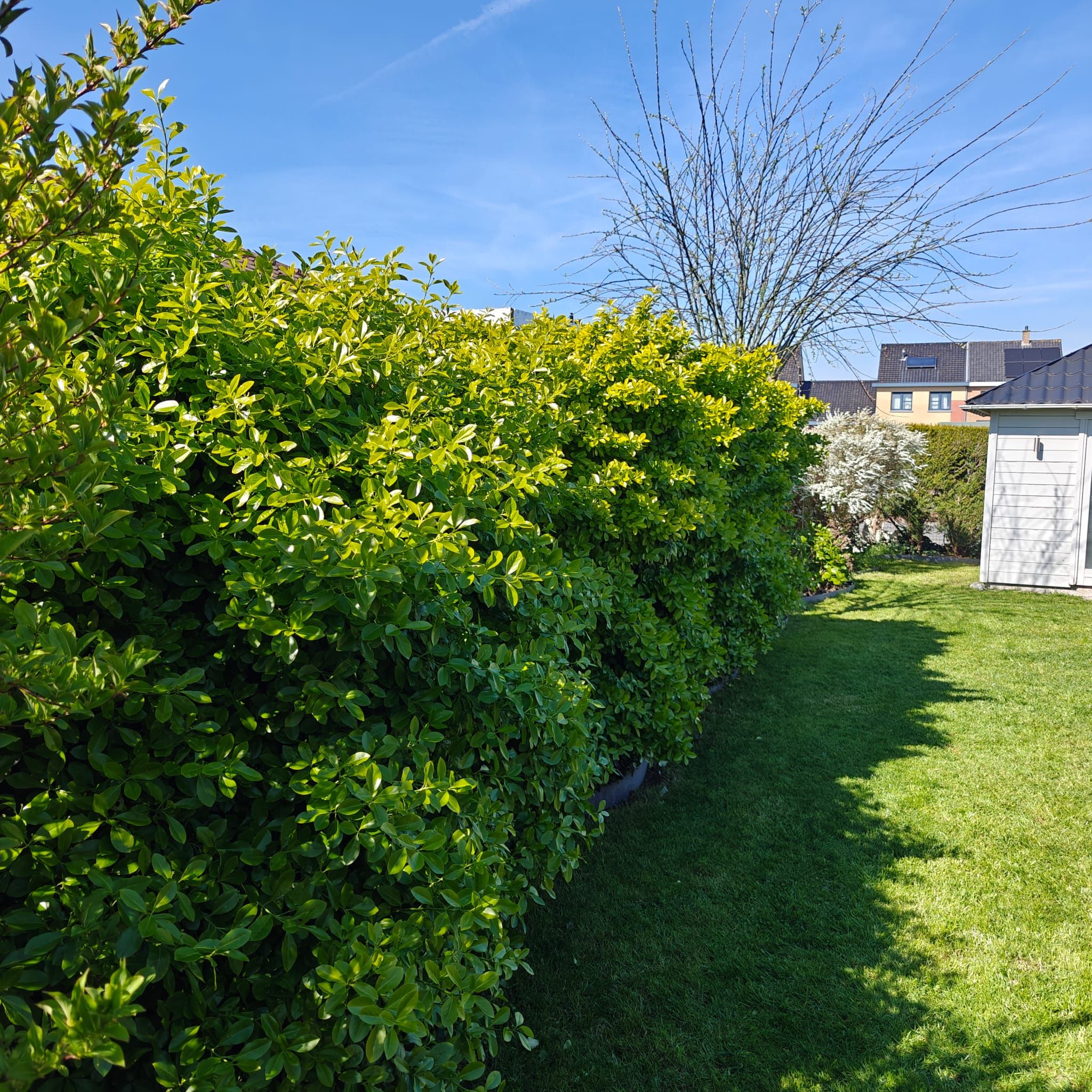 Eengezinswoning te Lombardsijde op wandelafstand van strand met 3 slaapkamer - foto 9