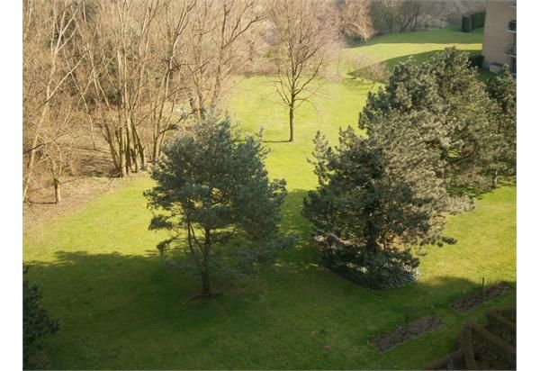 Volledig gerenoveerde studio met groot zonnig terras en lift - foto 10