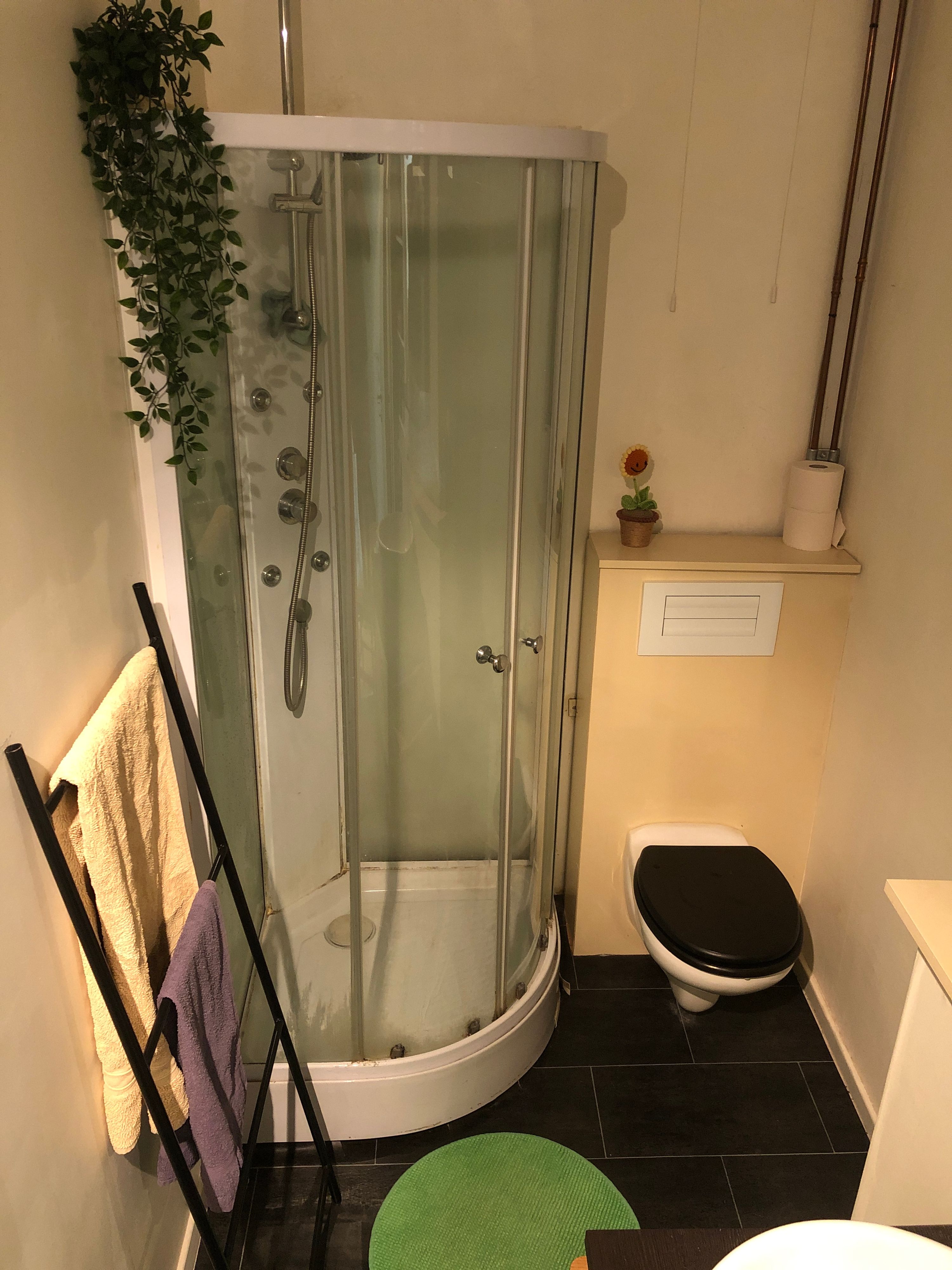 Ruime rijwoning met weelderige tuin in Gent - foto 5