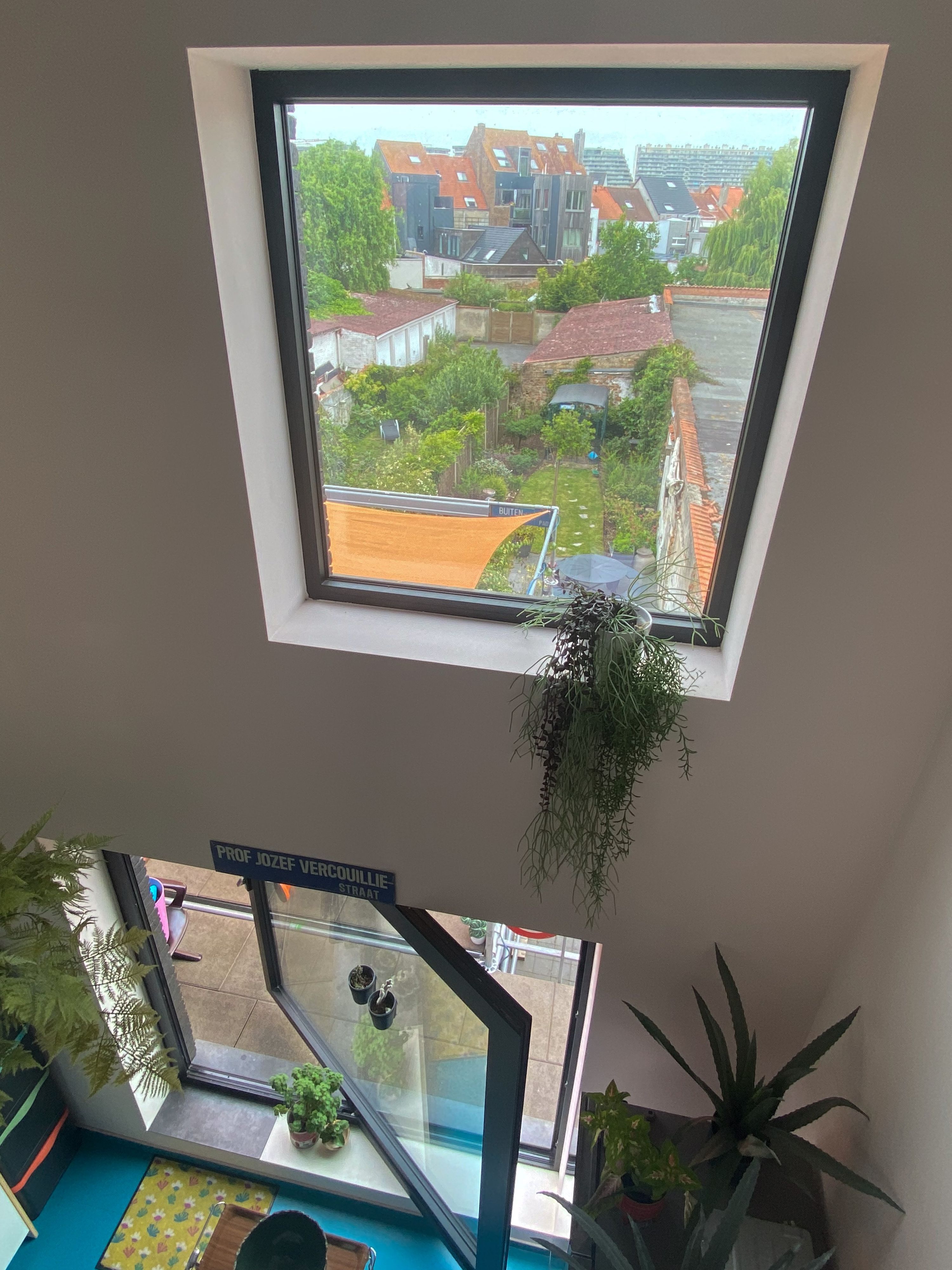 Architectenwoning. Rauw beton. Strakke lijnen. Puur voor u. - foto 6