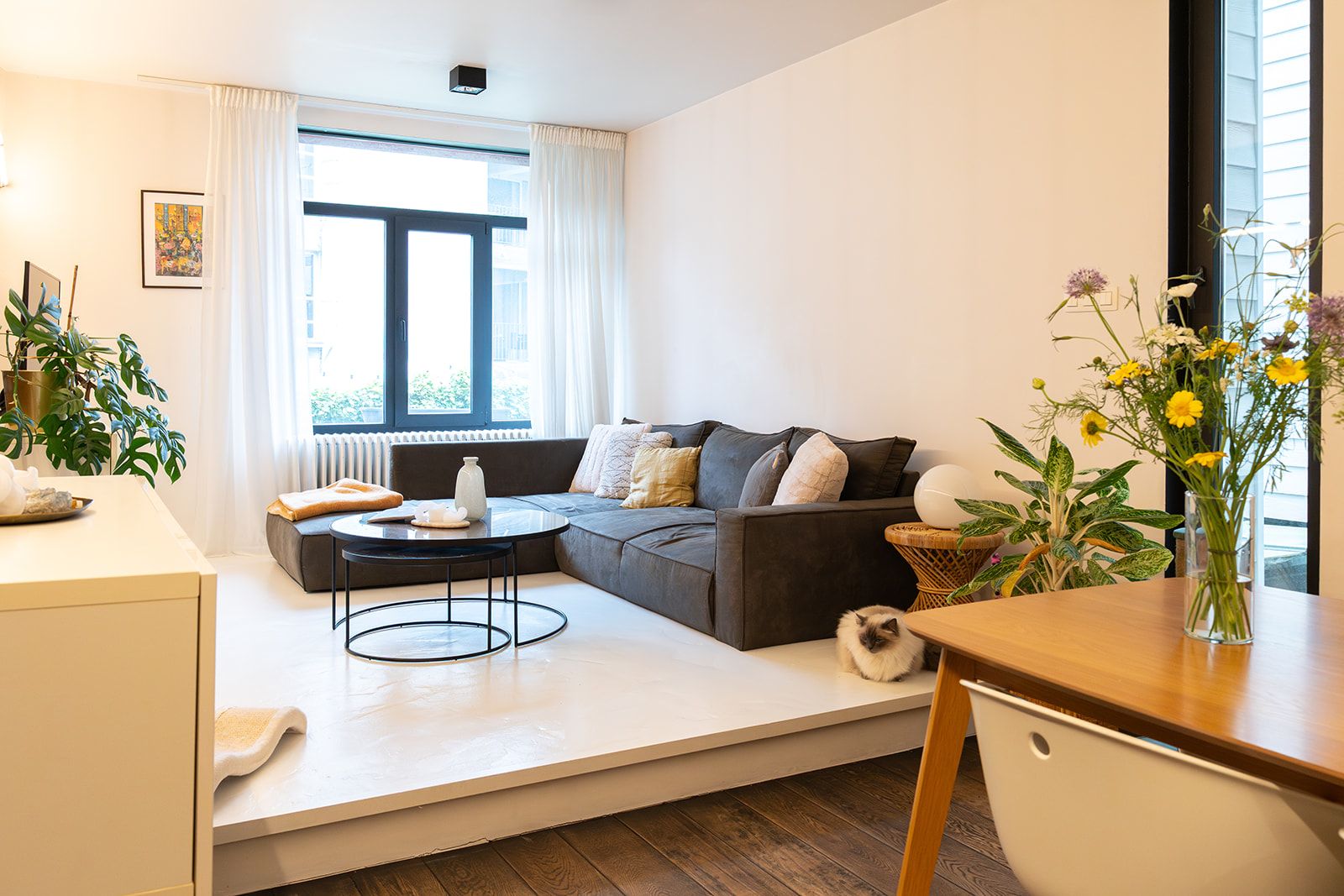 Mini Loft Zurenborg  - foto 6