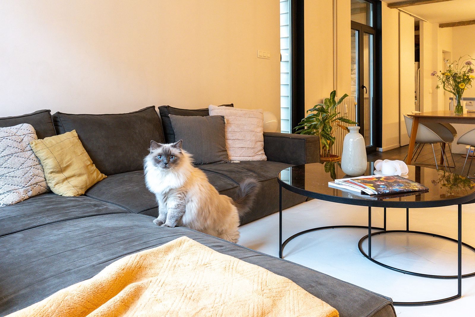 Mini Loft Zurenborg  - foto 4
