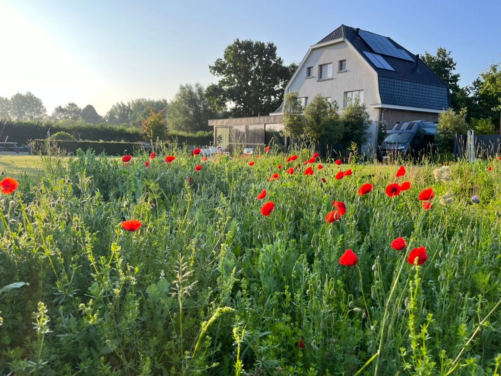 gerenoveerde art-decorwoning in een oase van rust tegenover natuurgebied - foto 8