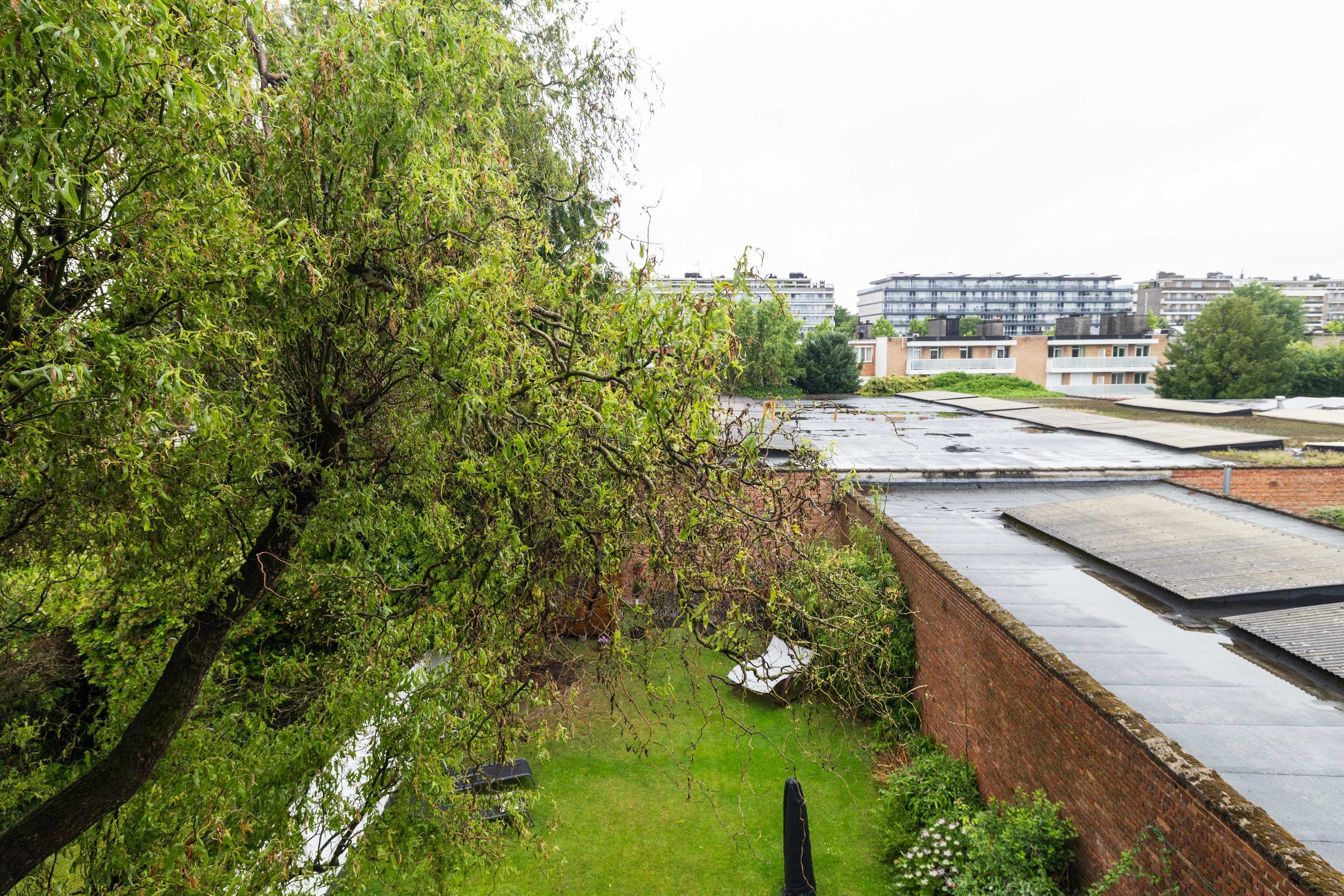 Instapklaar en lichtrijk 3-slaapkamerappartement in Berchem - foto 10