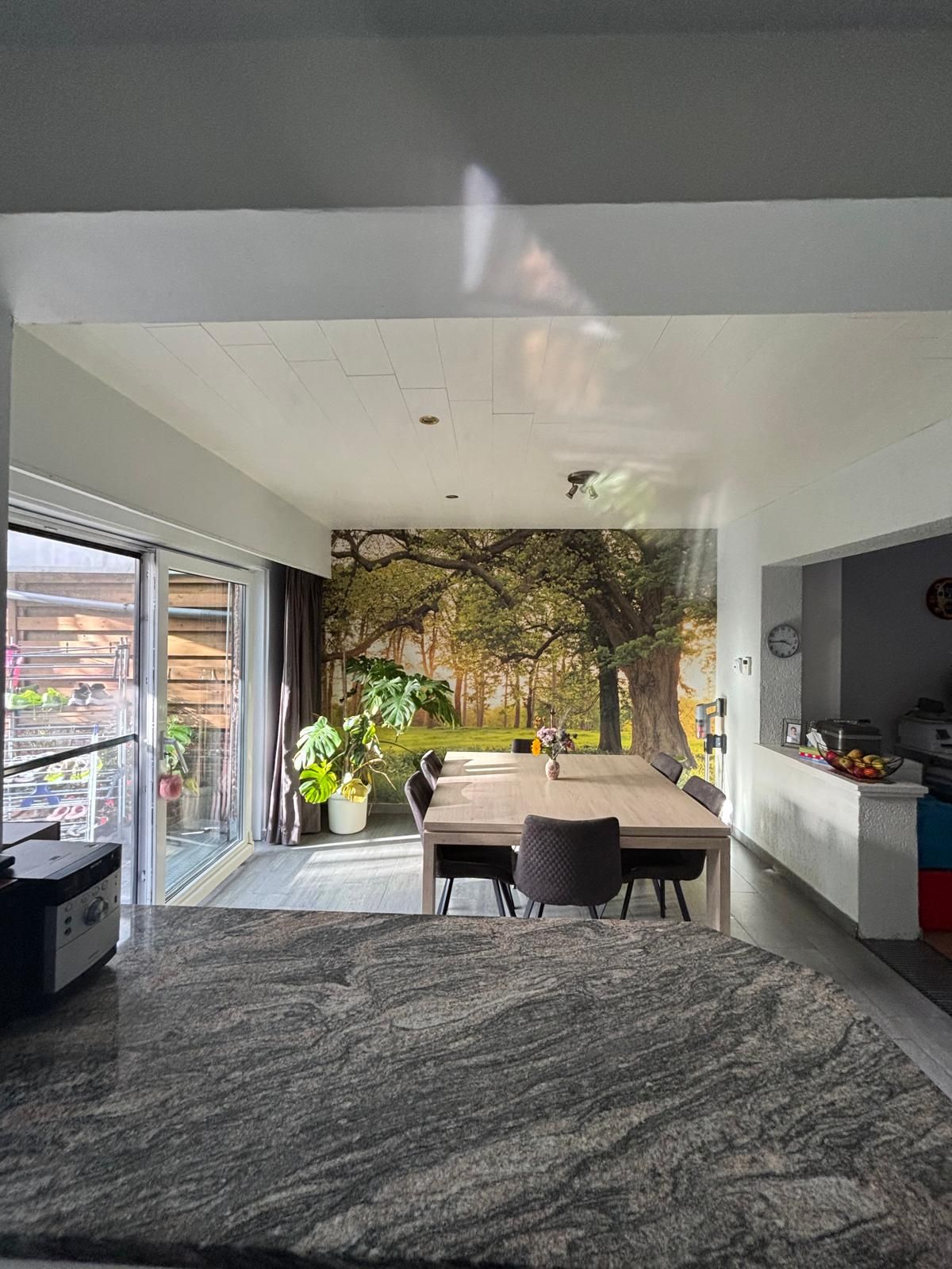 Instapklare energiezuinige woning met 4 slaapkamers en grote tuin - foto 7