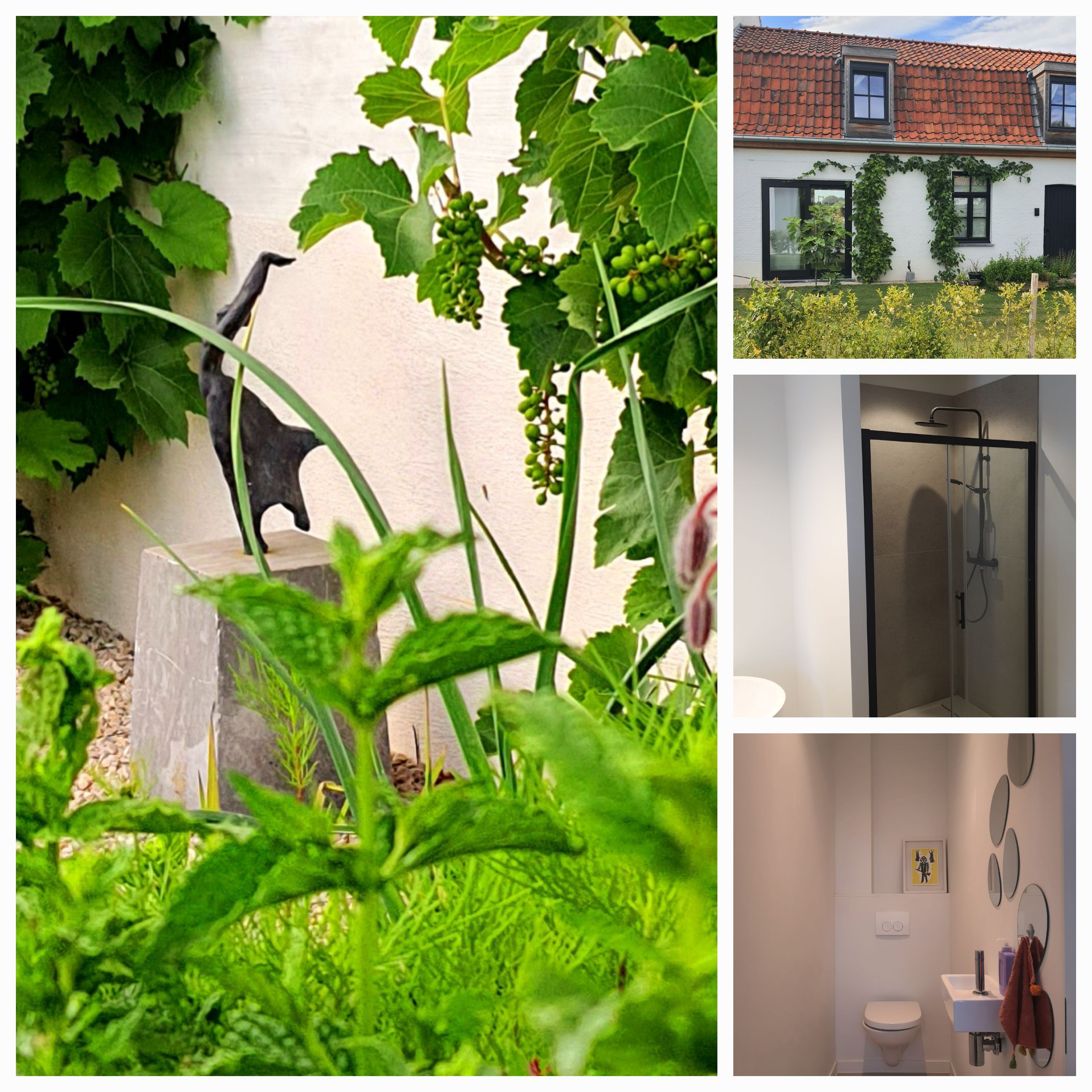 Gerenoveerde begijntjeswoning in woonerf - foto 6