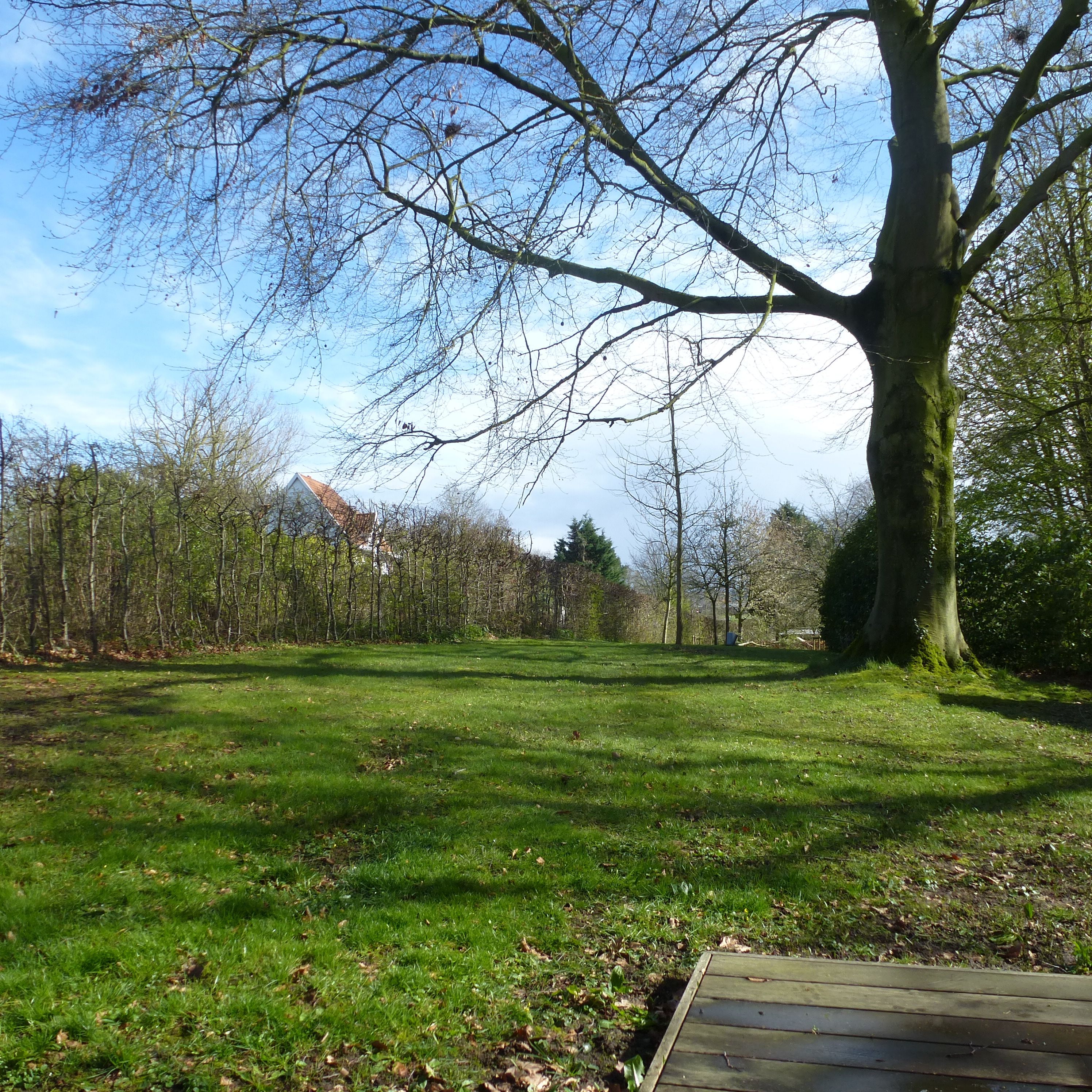 Gezonde houtmassiefvilla tussen platteland en centrum op 1195m2 - foto 2