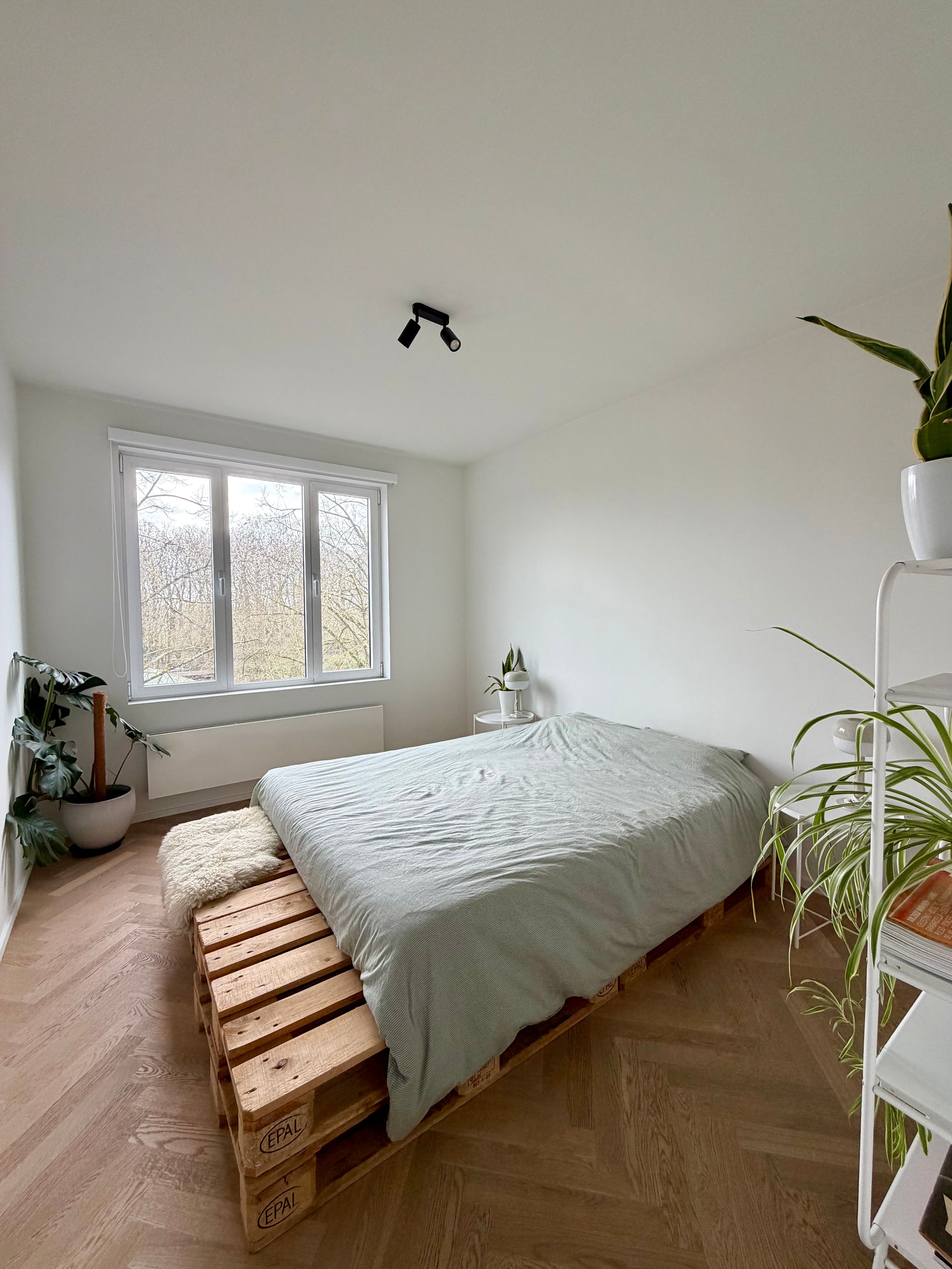 Ruim gerenoveerd appartement met drie slaapkamers in Edegem - foto 7