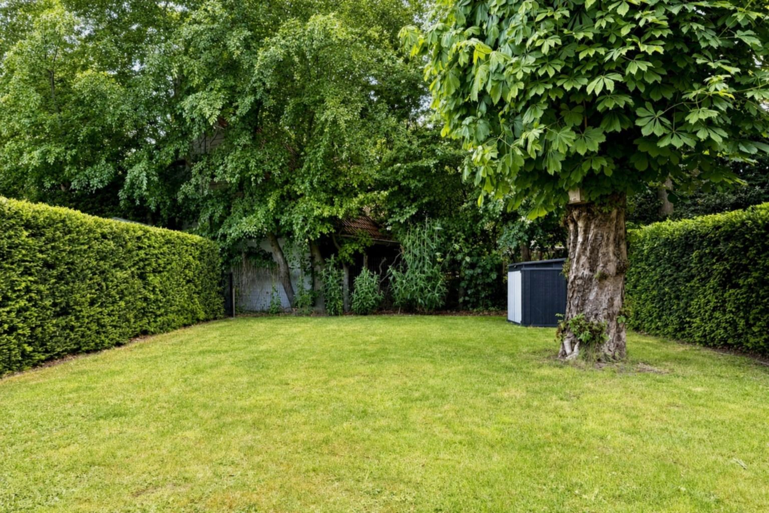 Ruim 3-slpk appartement met tuin en garagebox vlak bij Gent - foto 2