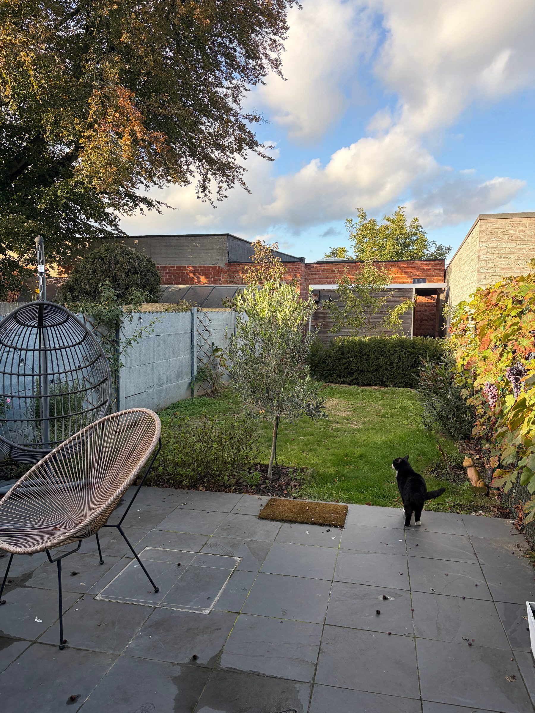 Instapklare woning met tuin in hartje Puurs - foto 9