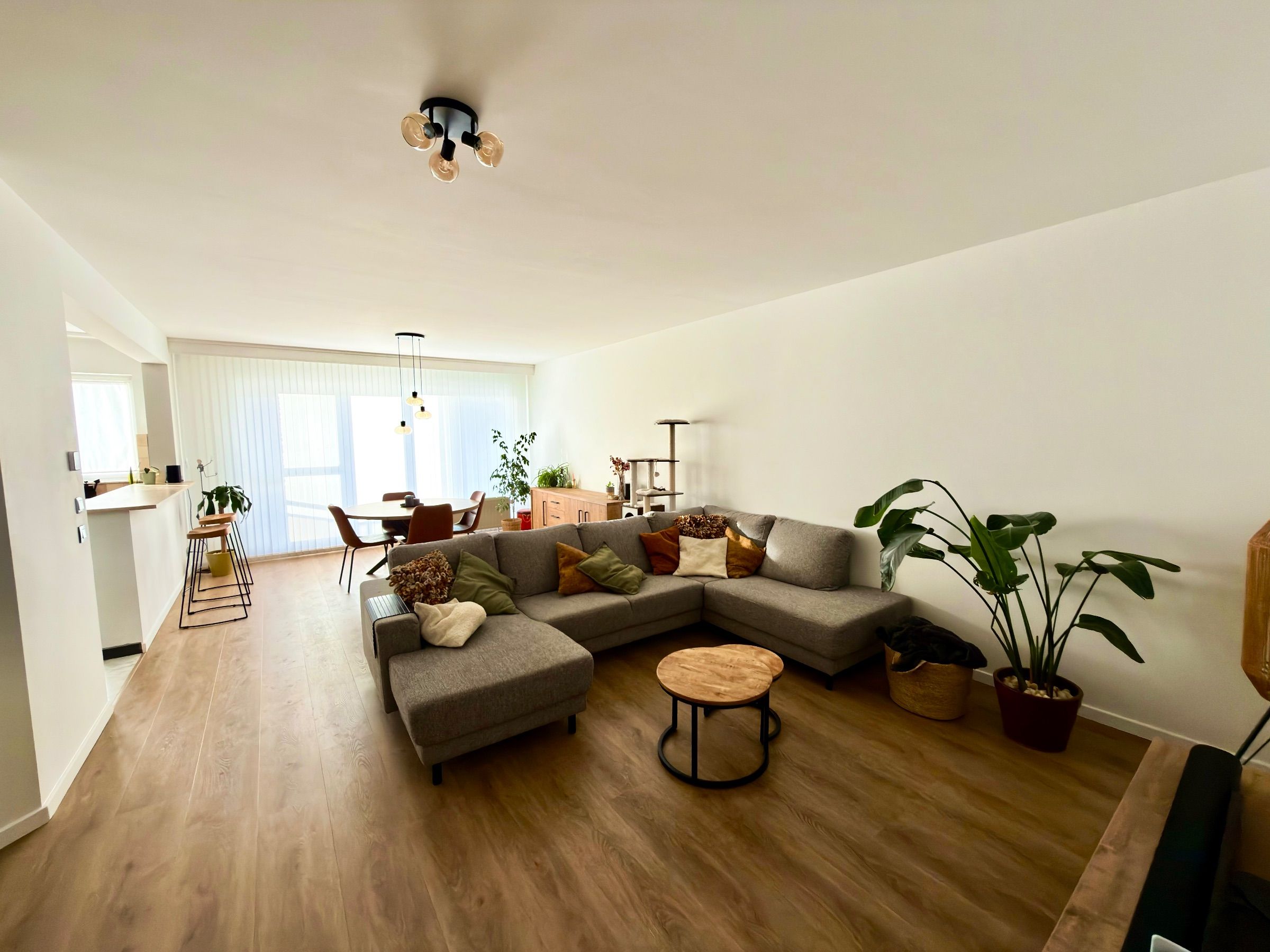 Instapklaar appartement in Borsbeek met 2 slaapkamers, 2 terrassen en berging - foto 2