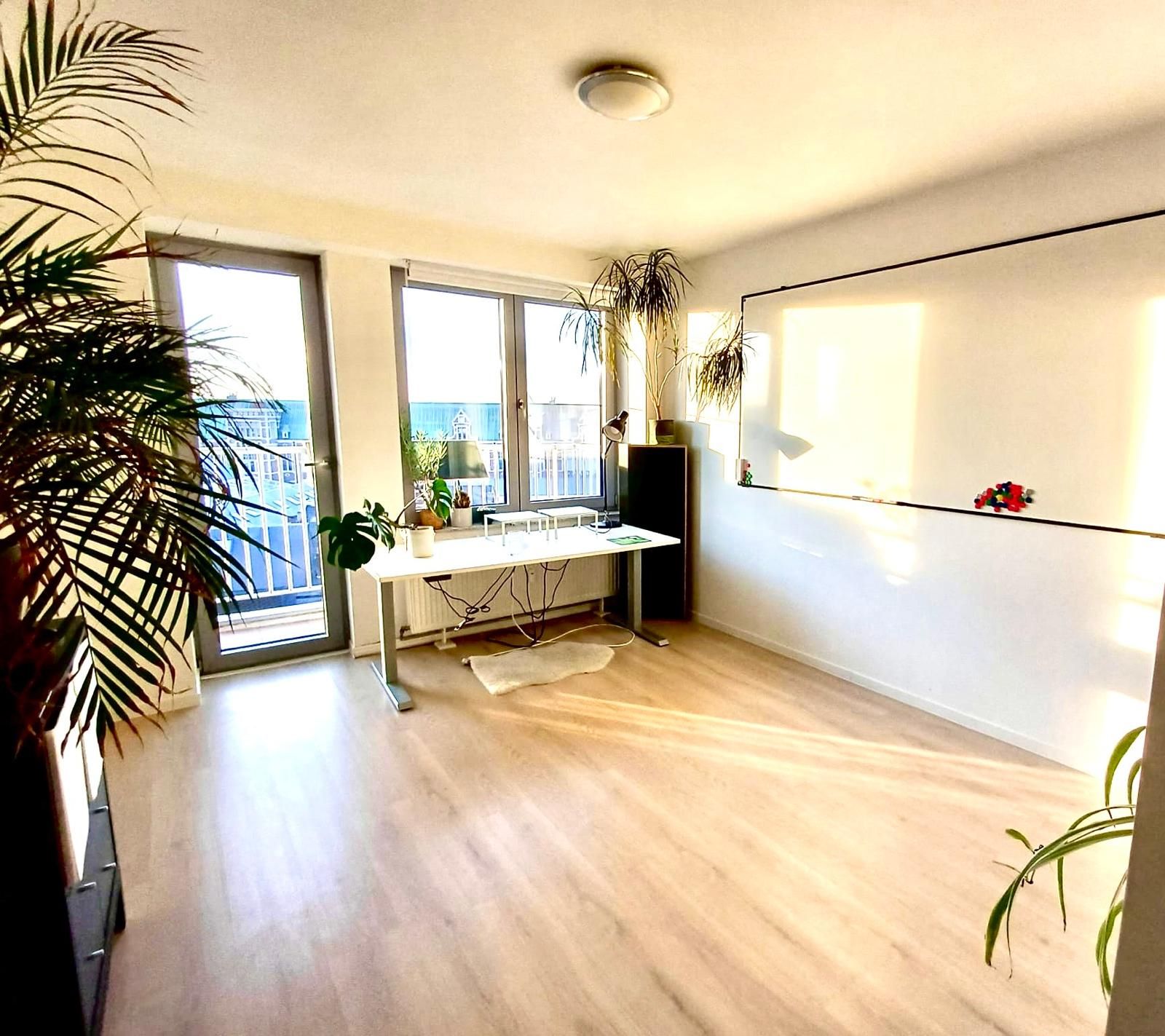 Penthouse for sale - foto 12