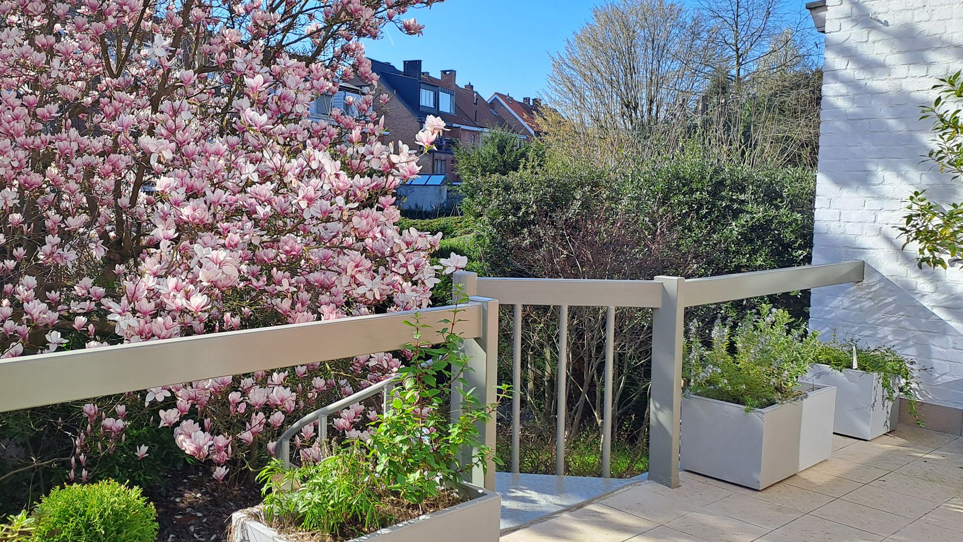 Ruime, gerenoveerde bel-etage (5 slk) met tuin en terras - foto 2
