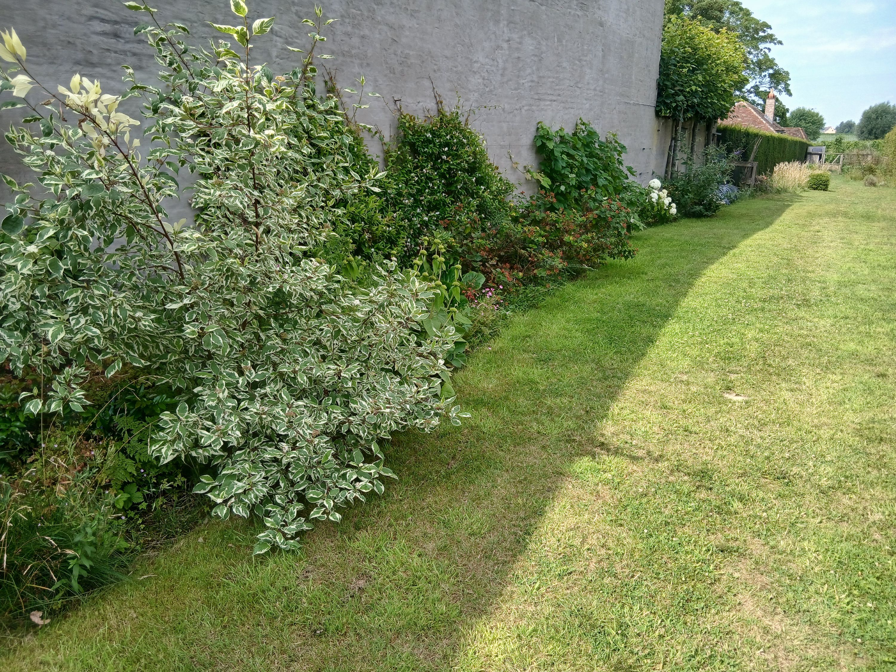 Energiezuinige rijwoning met prachtige tuin en zicht op wijngaard - foto 4
