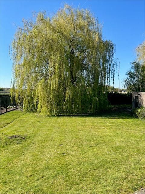 INSTAPKLARE GEZINSWONING MET 3 SLAAPKAMERS, ZONNEPANELEN EN 1.100 m² GROND  - foto 10