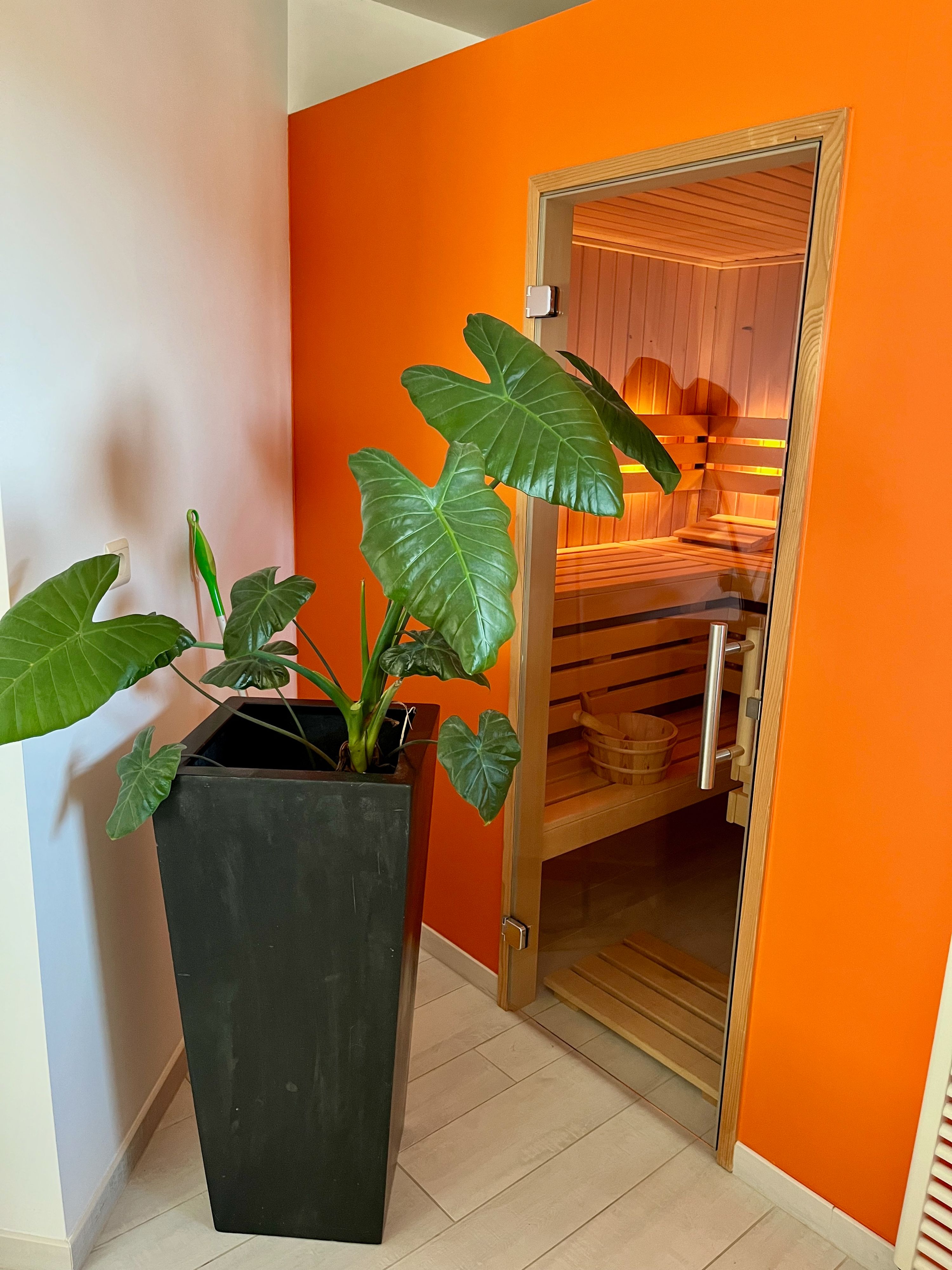 Zeer verzorgde instapklare woning met mooie ZW-tuin - foto 6