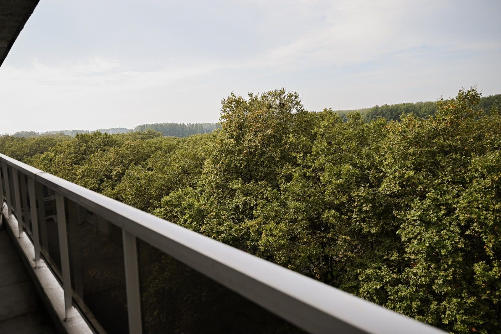 Instapklaar appartement met zonnig terras en uitzicht over het Sint-Annabos - foto 30