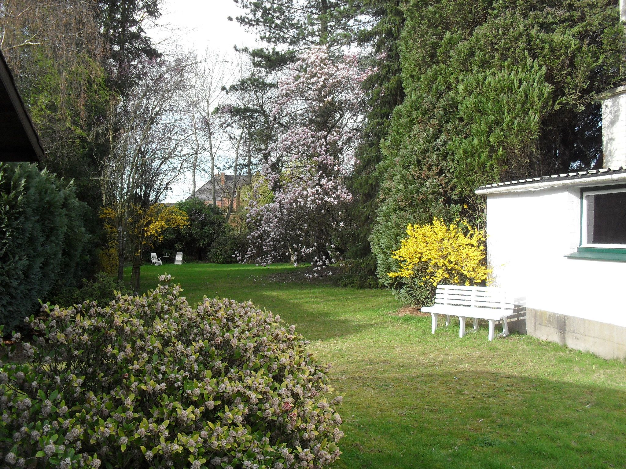 Te renoveren fifties landhuis met grote parktuin, dubbele garage en magazijn - foto 9
