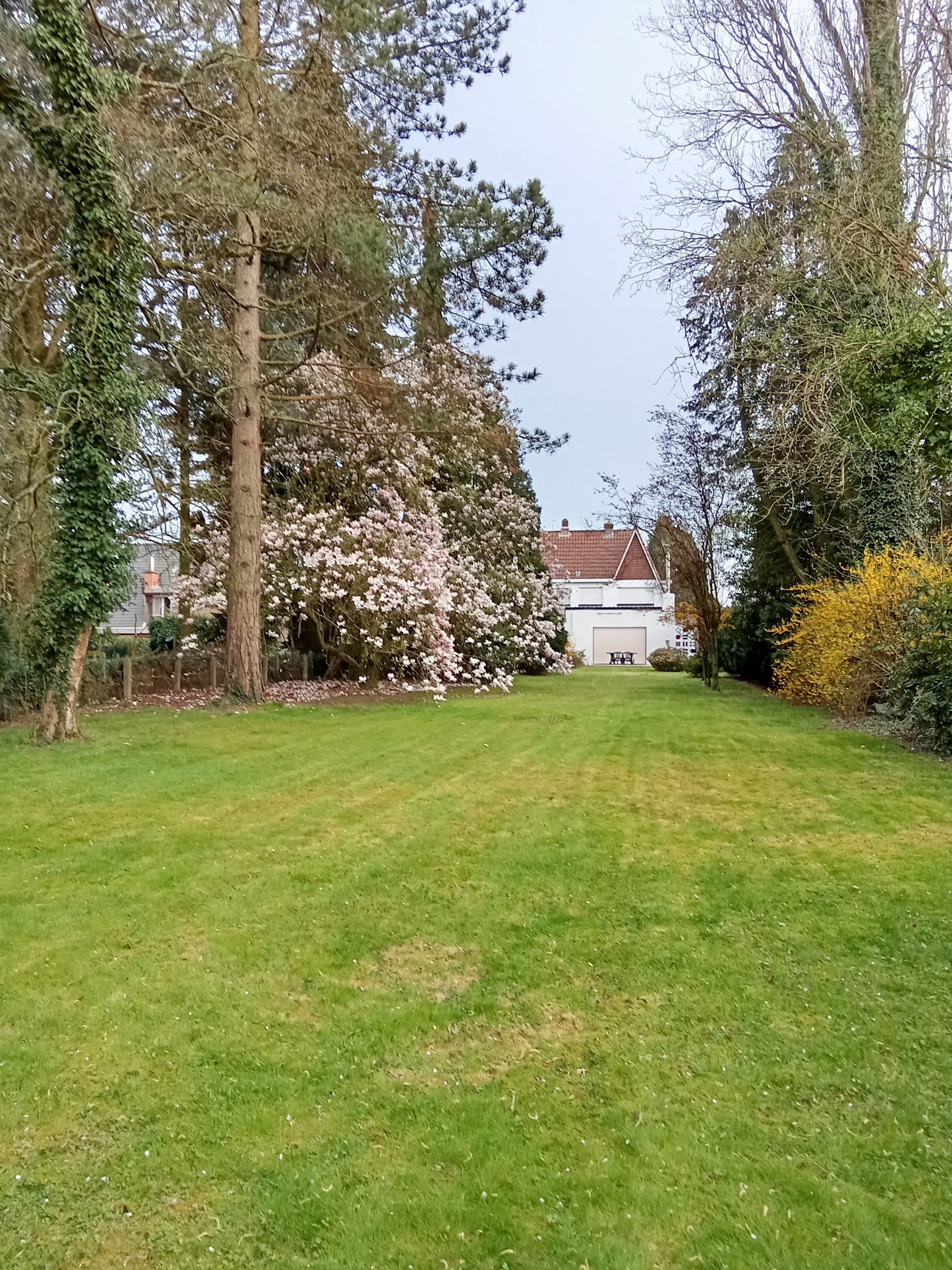 Te renoveren fifties landhuis met grote parktuin, dubbele garage en magazijn - foto 10