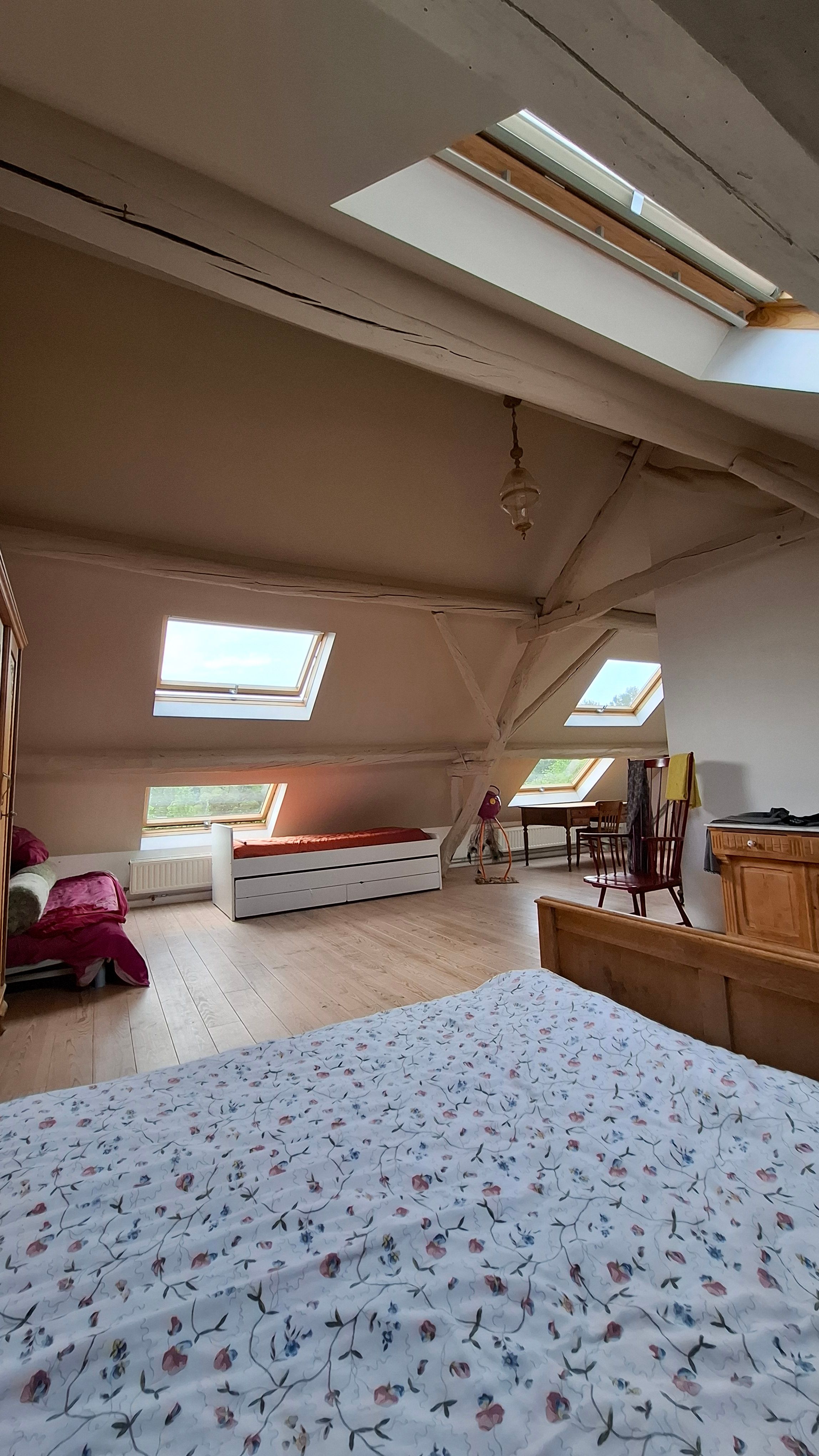 Ruime hoevewoning ZONDER Renovatieverplichting - IN OPTIE - foto 9