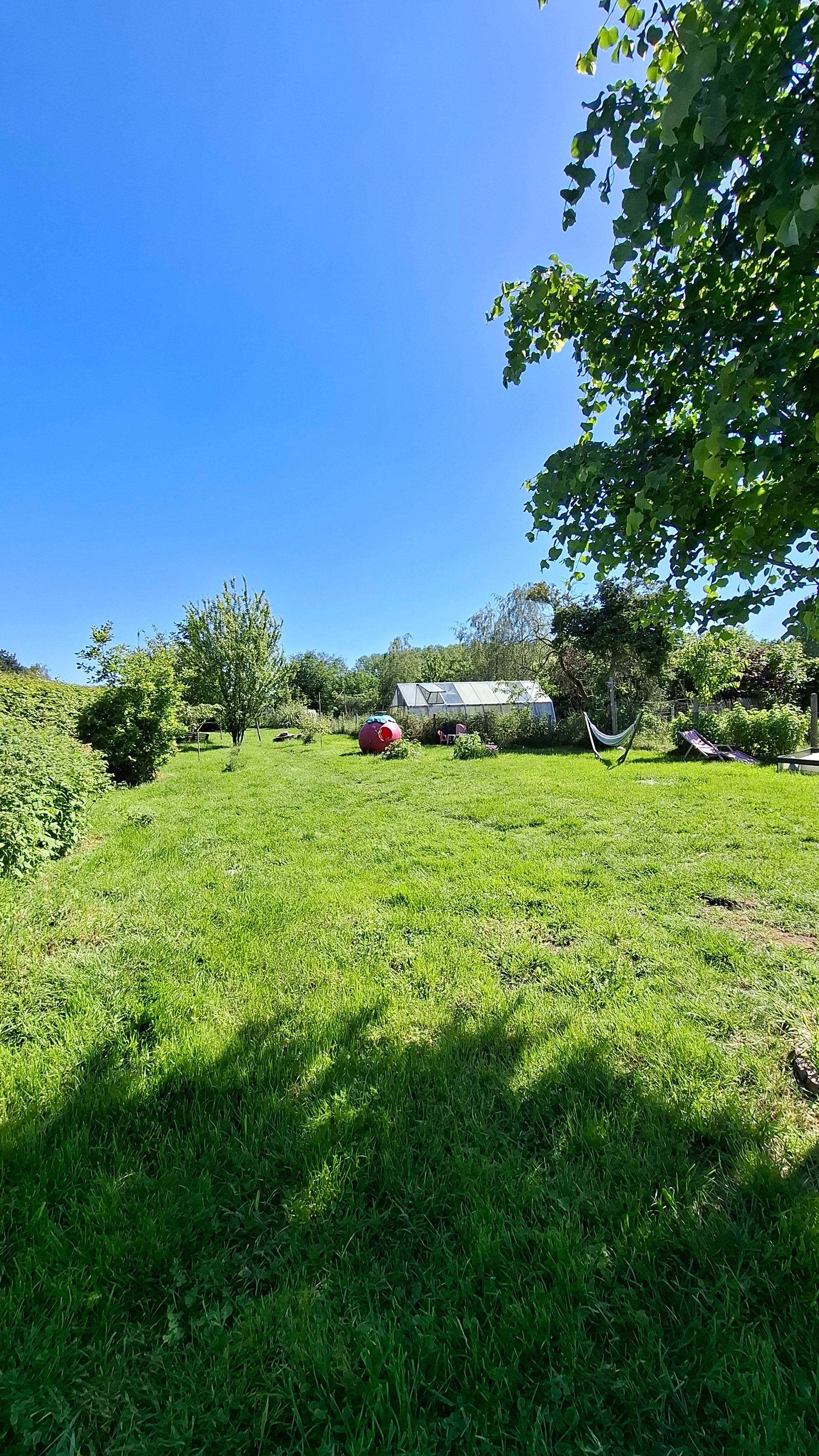 Ruime hoevewoning ZONDER Renovatieverplichting - IN OPTIE - foto 10