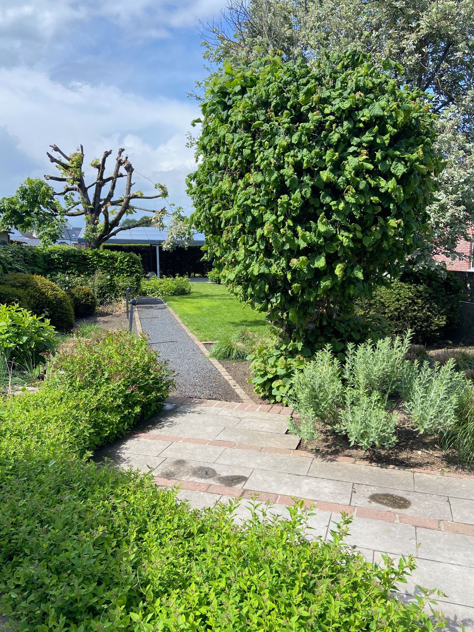 Instapklare woning met mooie tuin in Veerle-Laakdal - foto 9