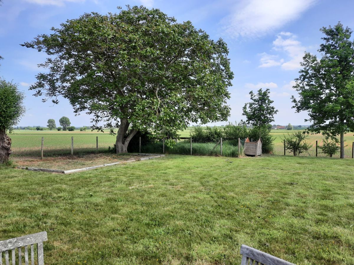 In de Rustplaats - Charme & Natuur - foto 17