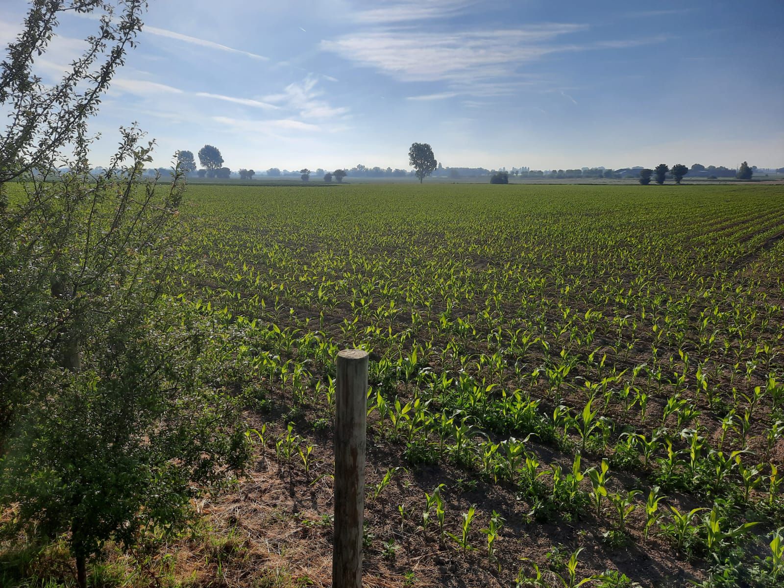 In de Rustplaats - Charme & Natuur - foto 18