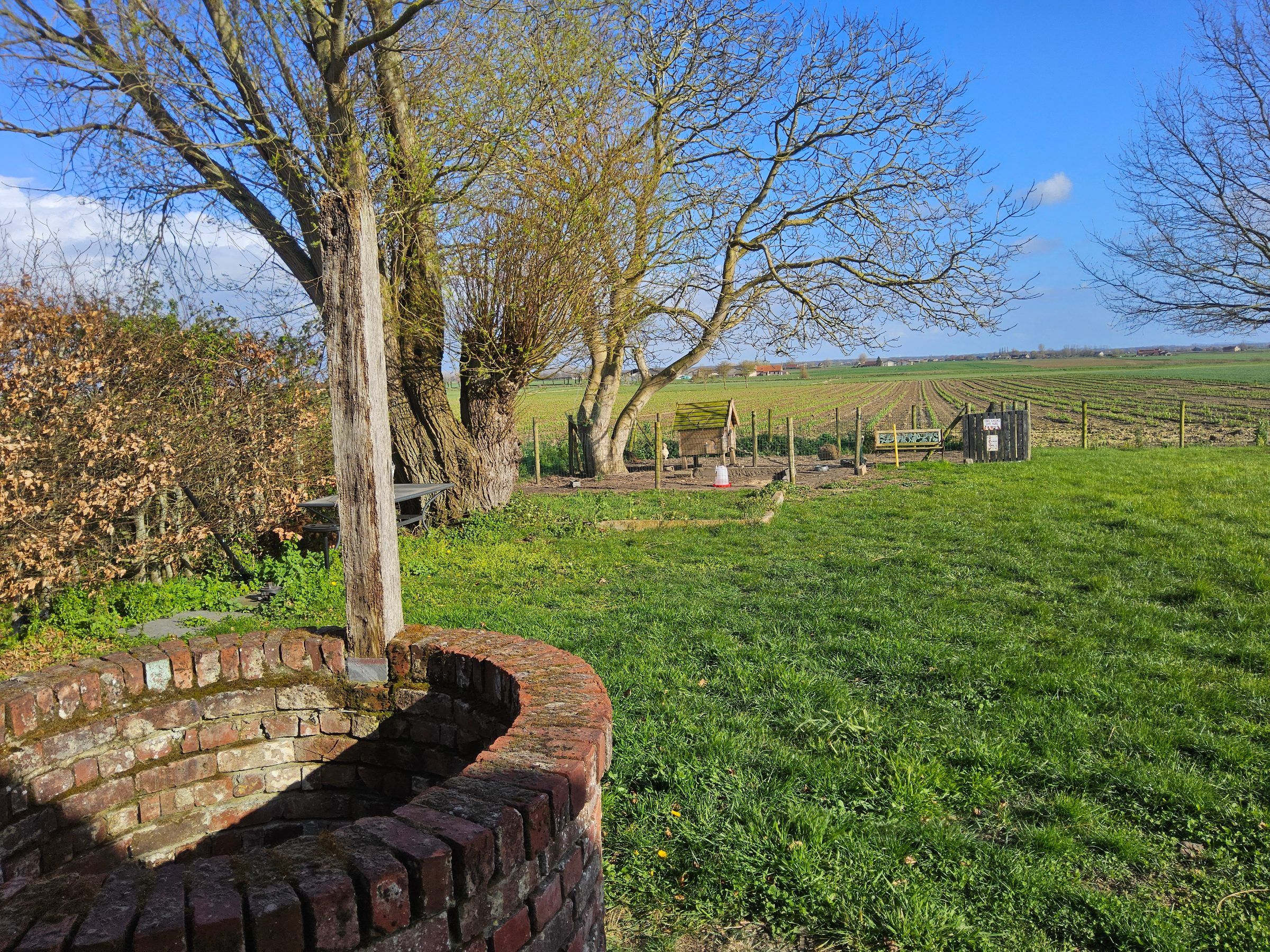 In de Rustplaats - Charme & Natuur - foto 16