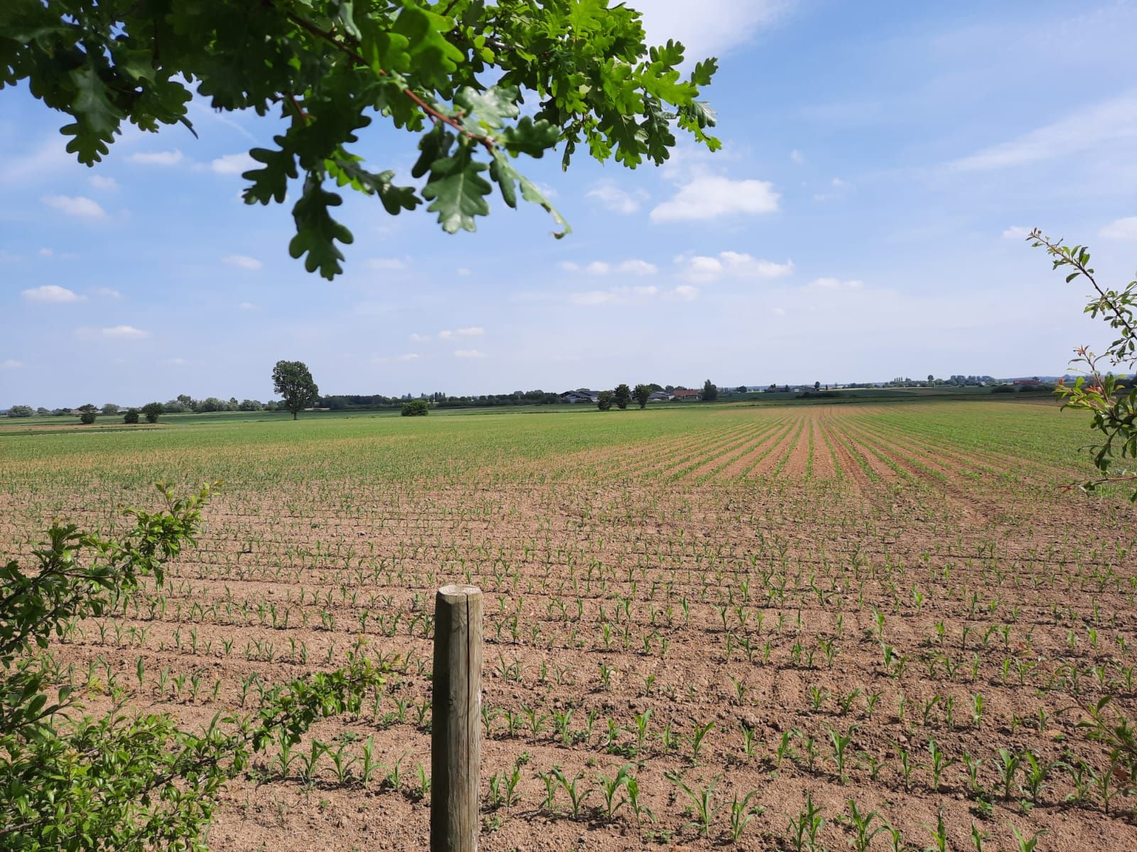 In de Rustplaats - Charme & Natuur - foto 19