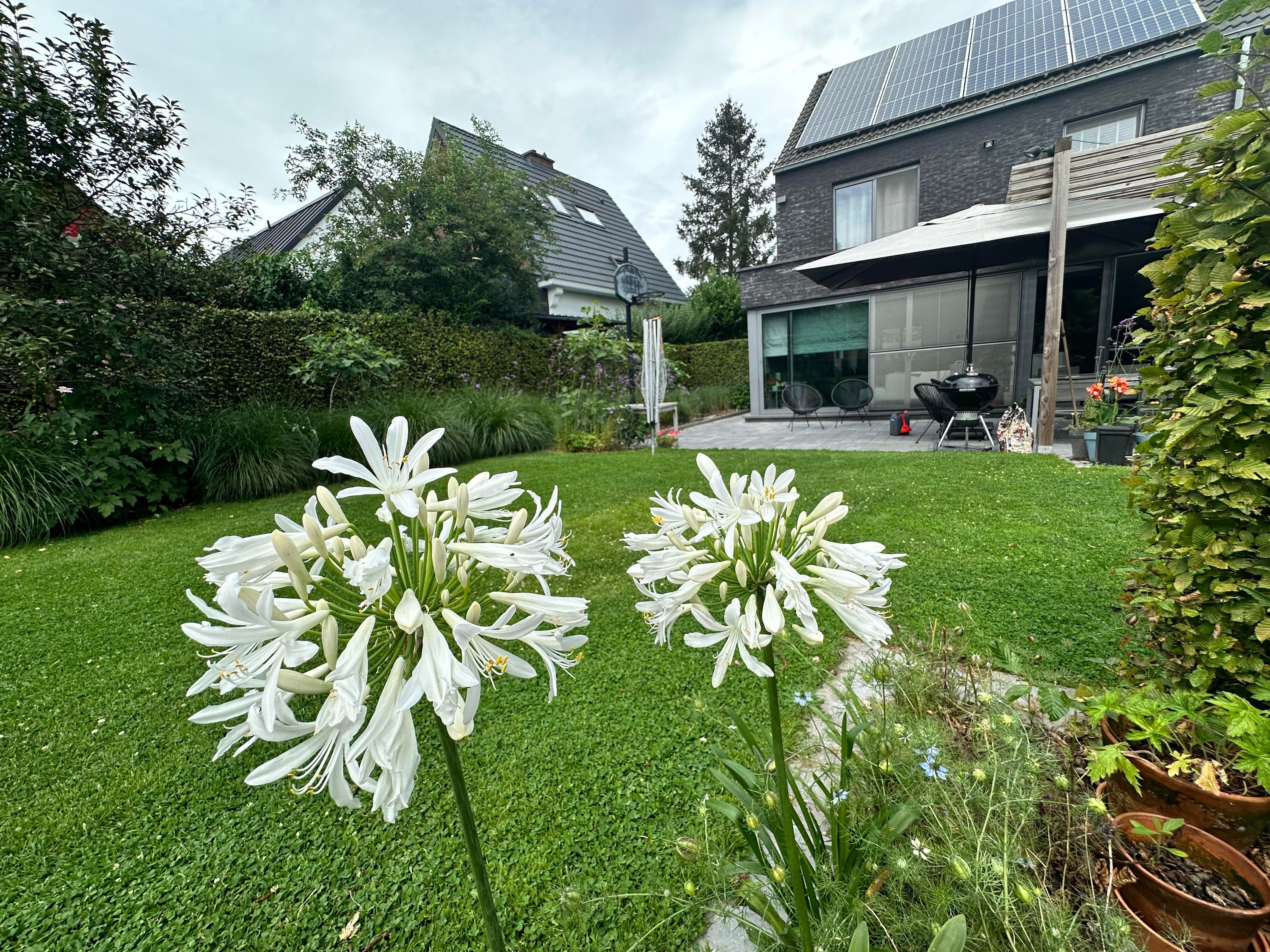Prachtige, lichtrijke instapklare woning met EPC A label - foto 4