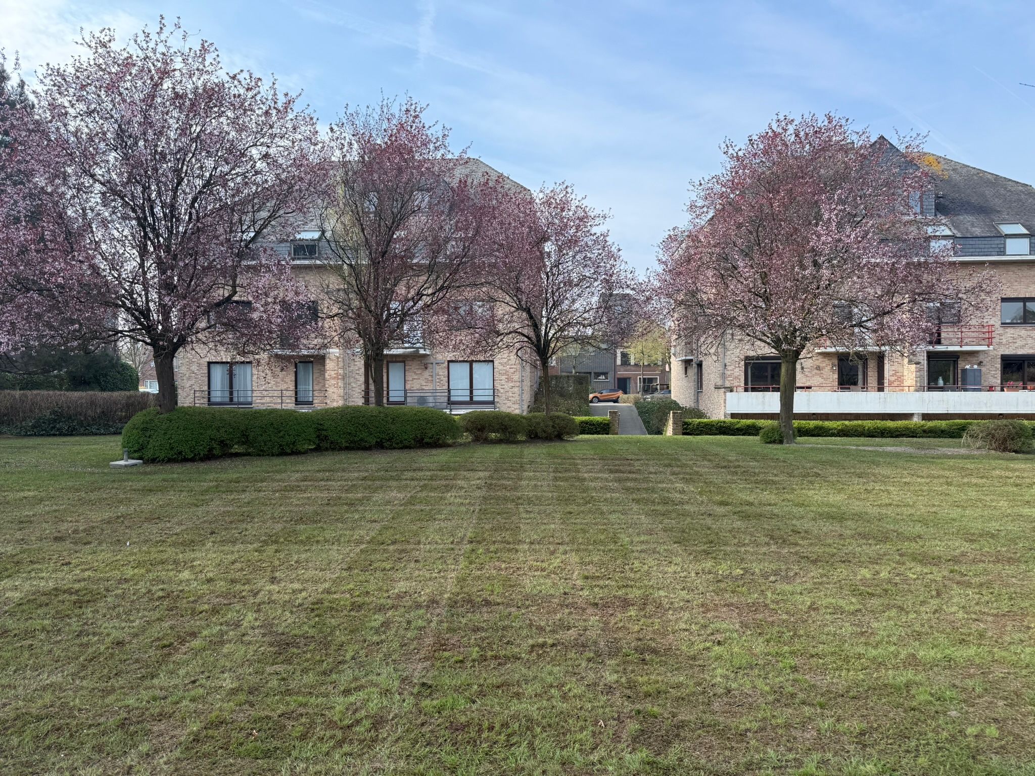 Ruim appartement met garage en grote gemeenschappelijke tuin - foto 4
