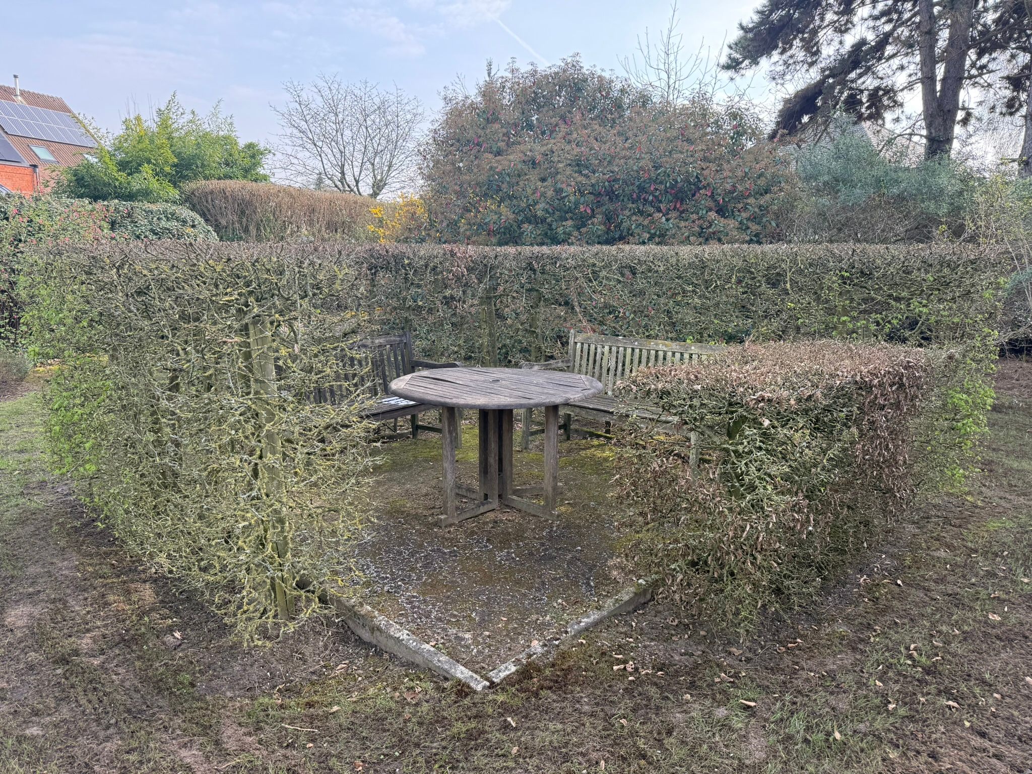 Ruim appartement met garage en grote gemeenschappelijke tuin - foto 5