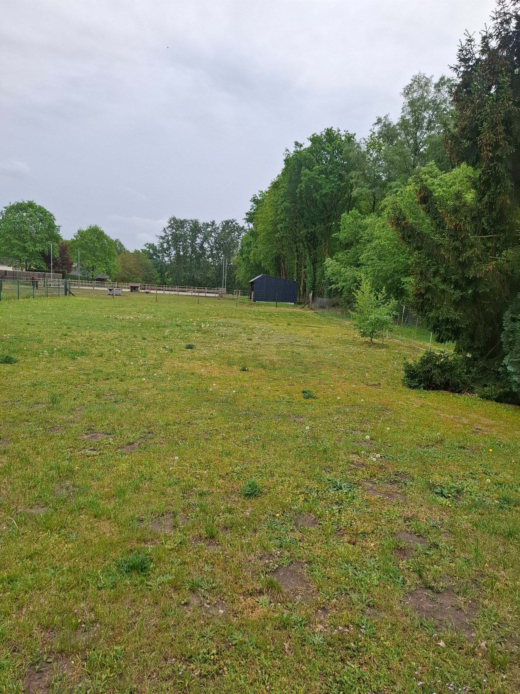 Huis te koop in Helchteren - foto 4